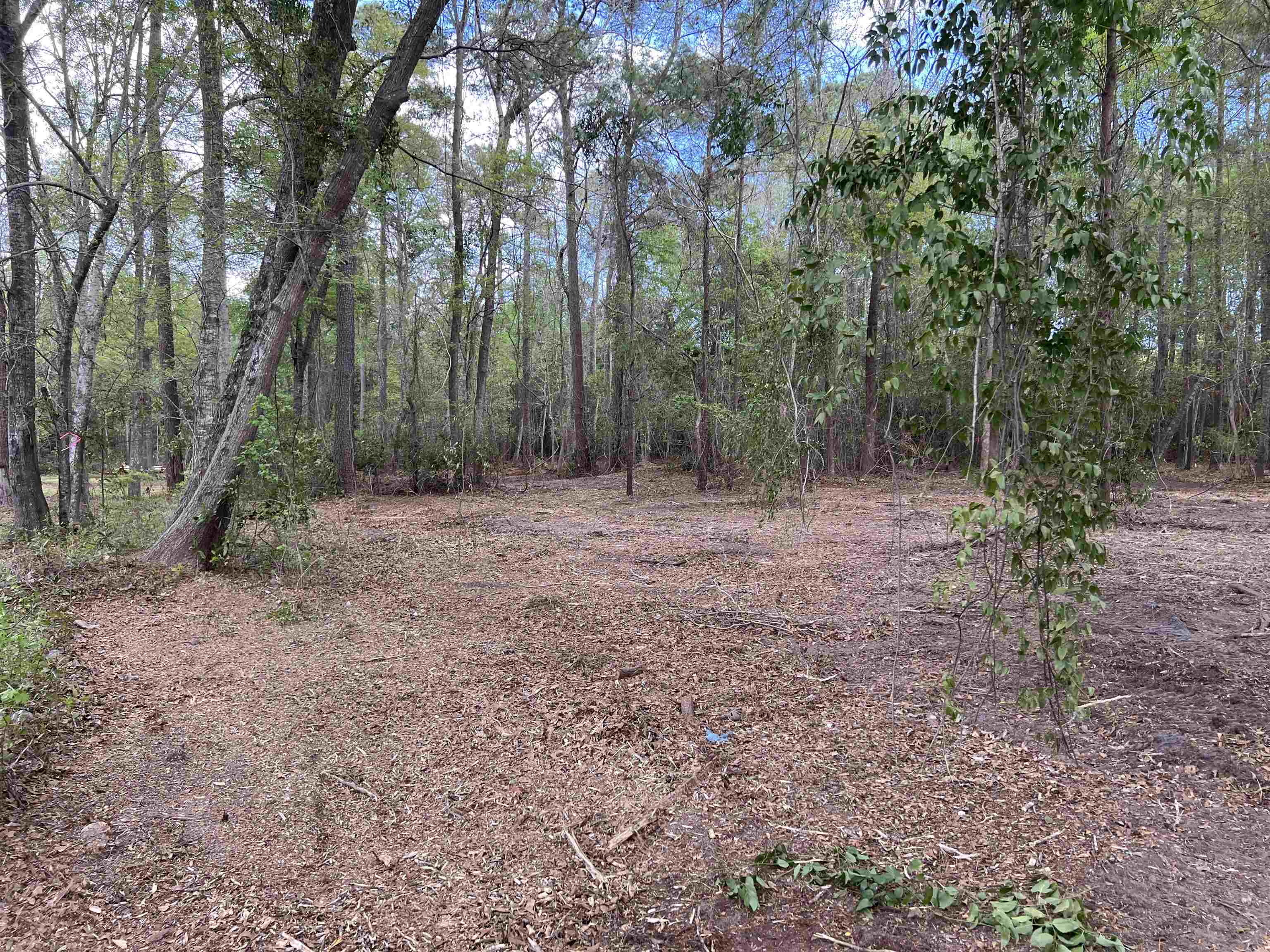 11094 Old Pee Dee Rd. Property Photo 7