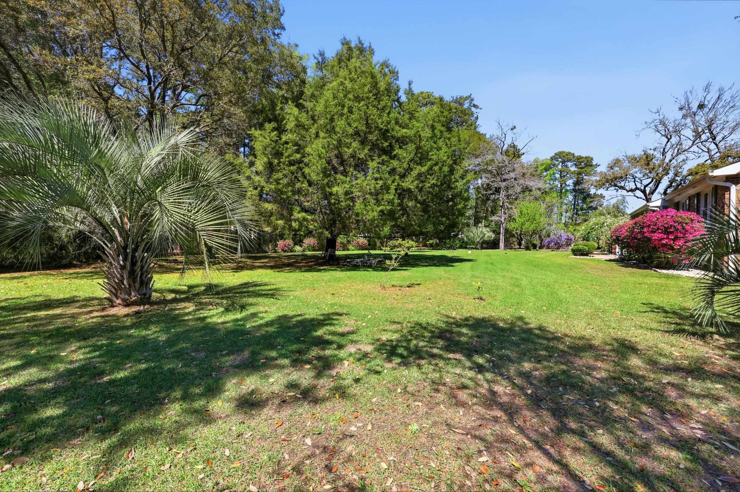 11091 Highway 707 Property Photo 4