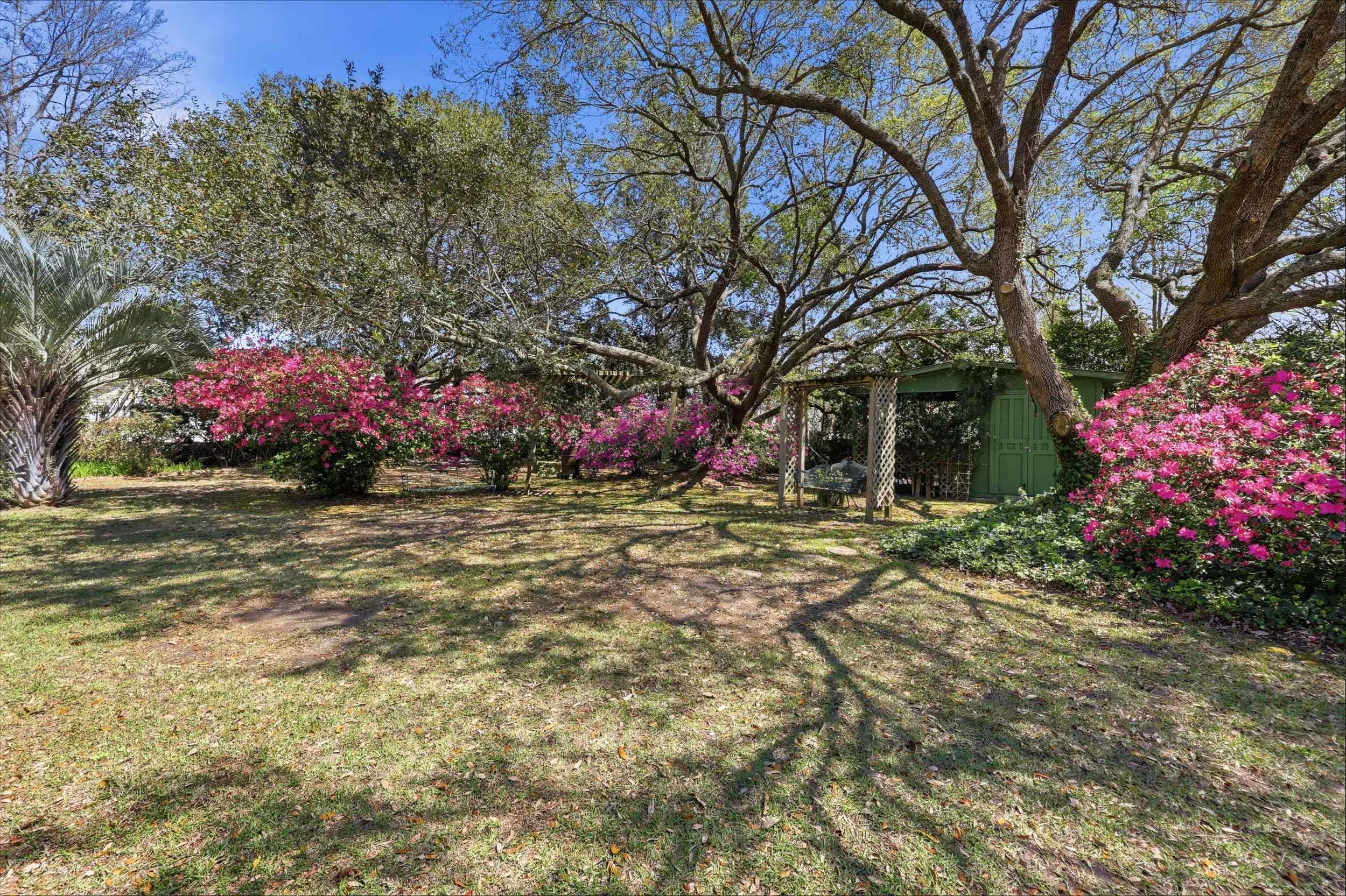 11091 Highway 707 Property Photo 23