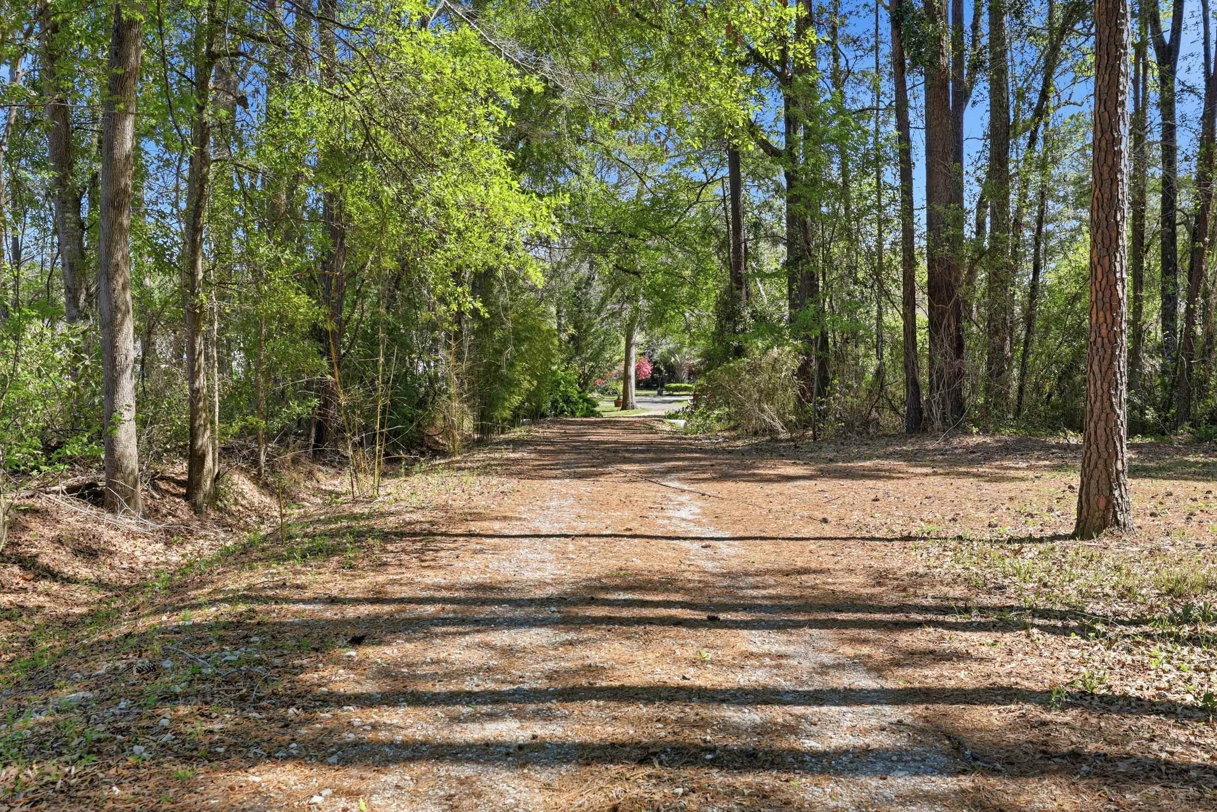 11091 Highway 707 Property Photo 27