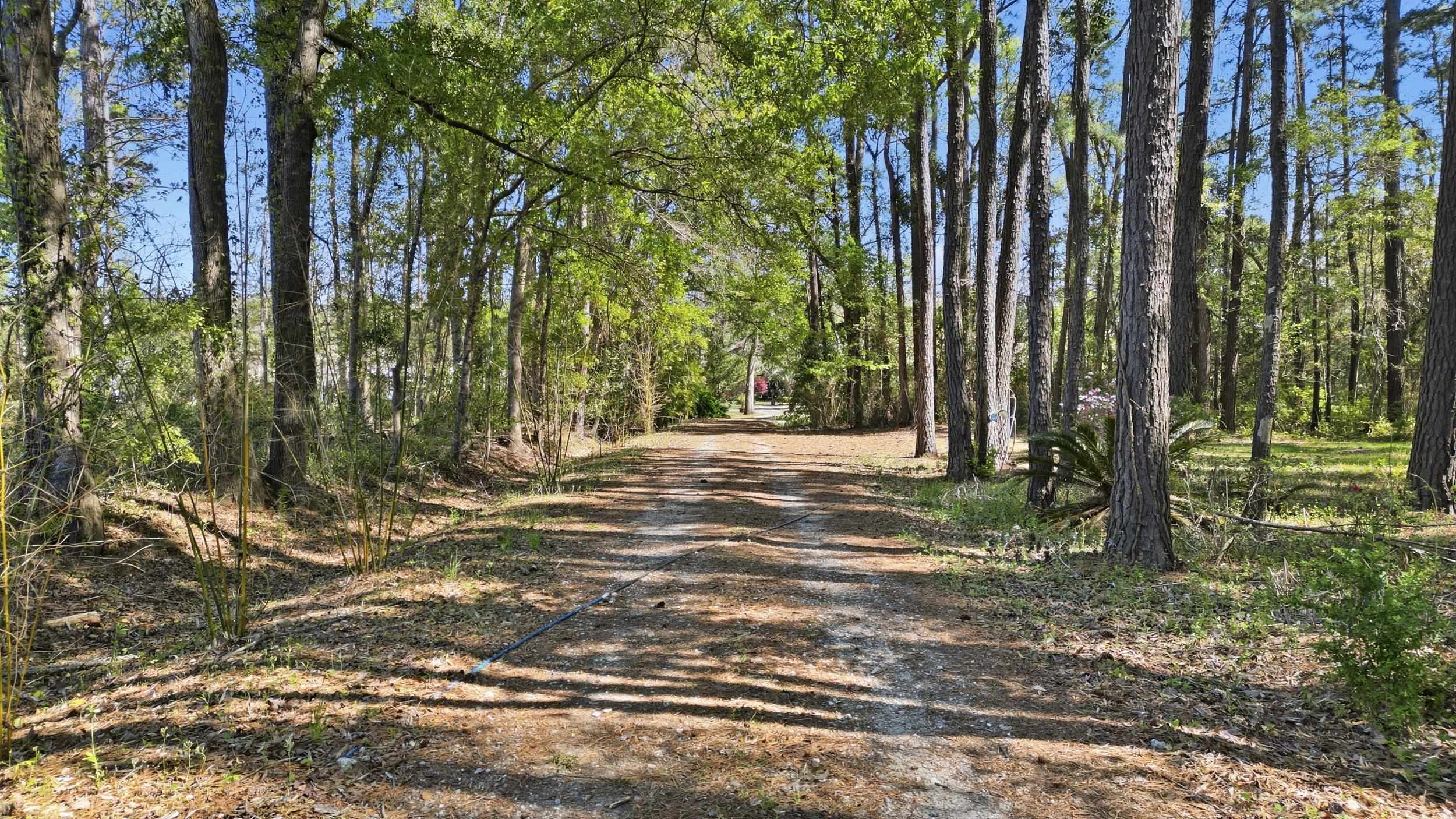 11091 Highway 707 Property Photo 28