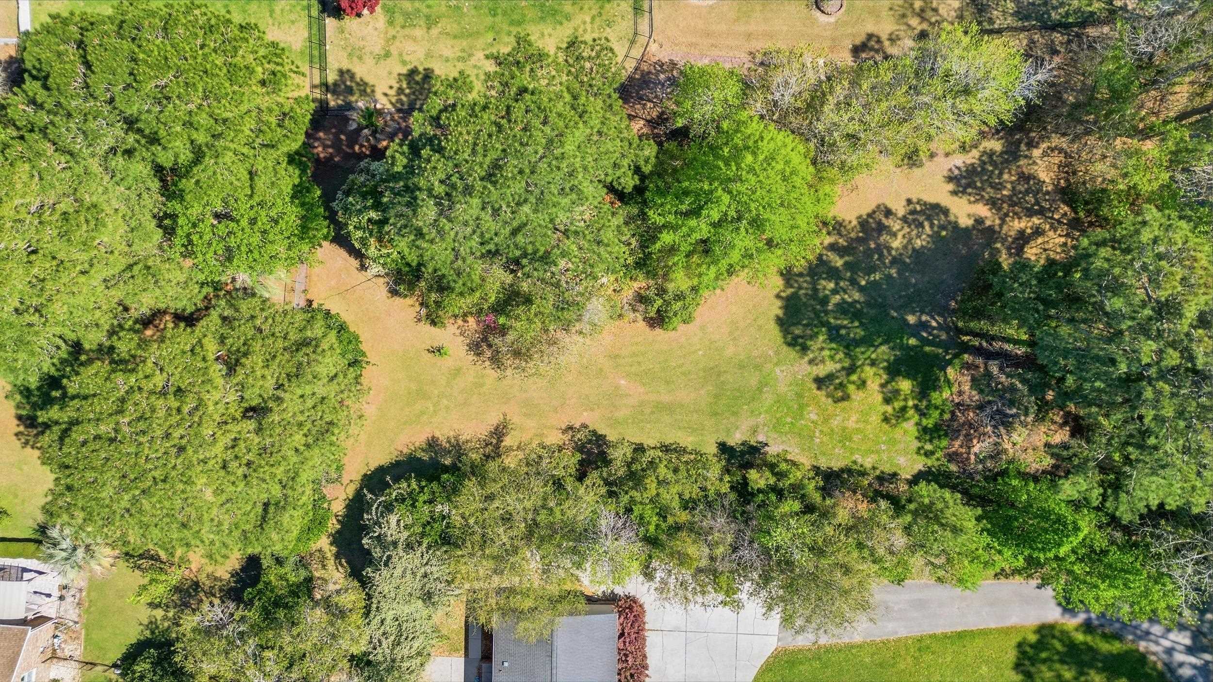 11091 Highway 707 Property Photo 29