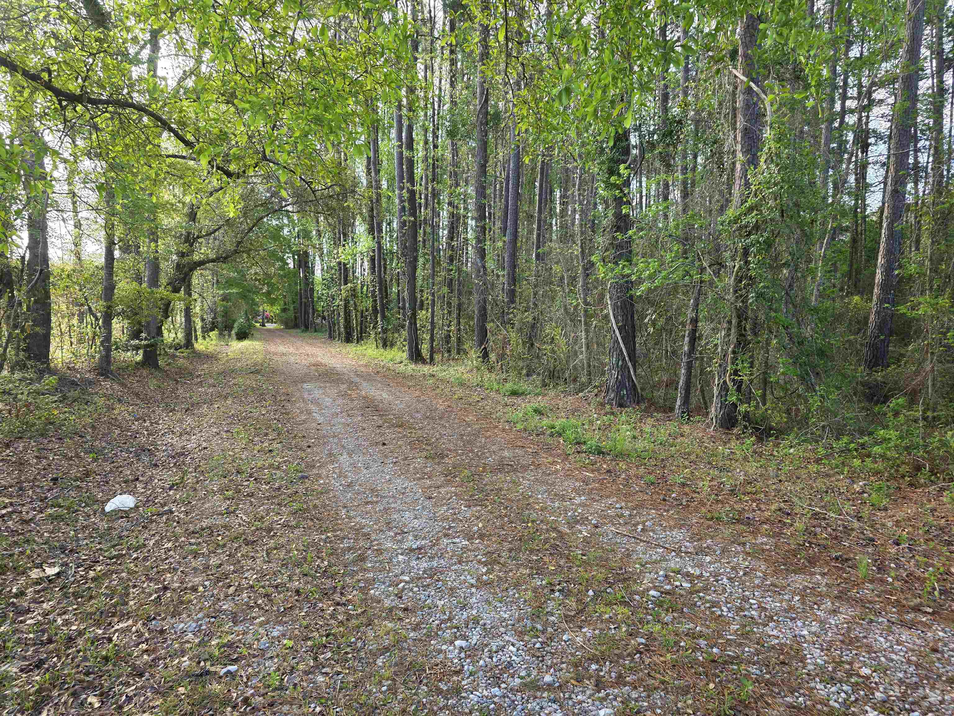 11091 Highway 707 Property Photo 32