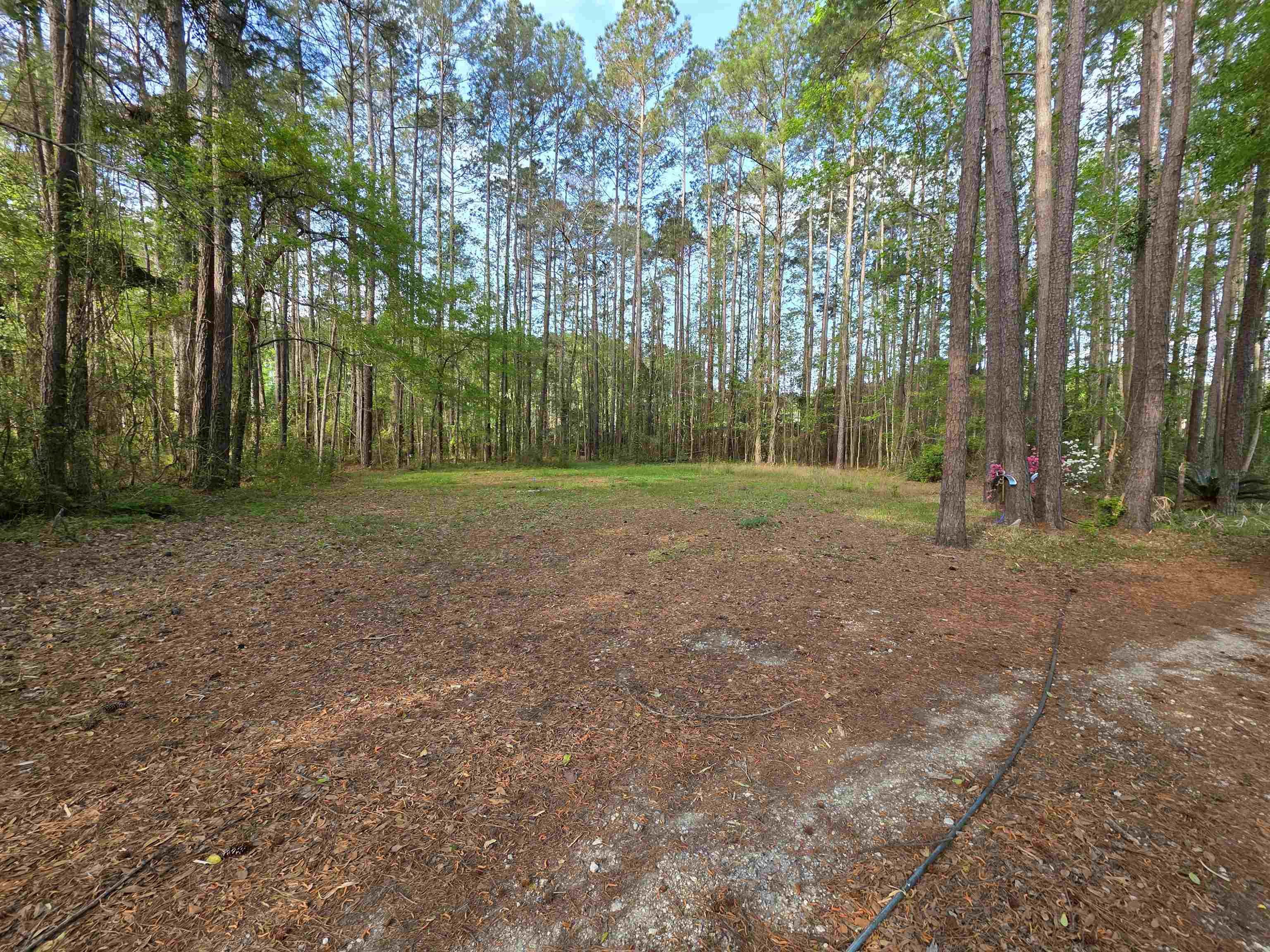 11091 Highway 707 Property Photo 33
