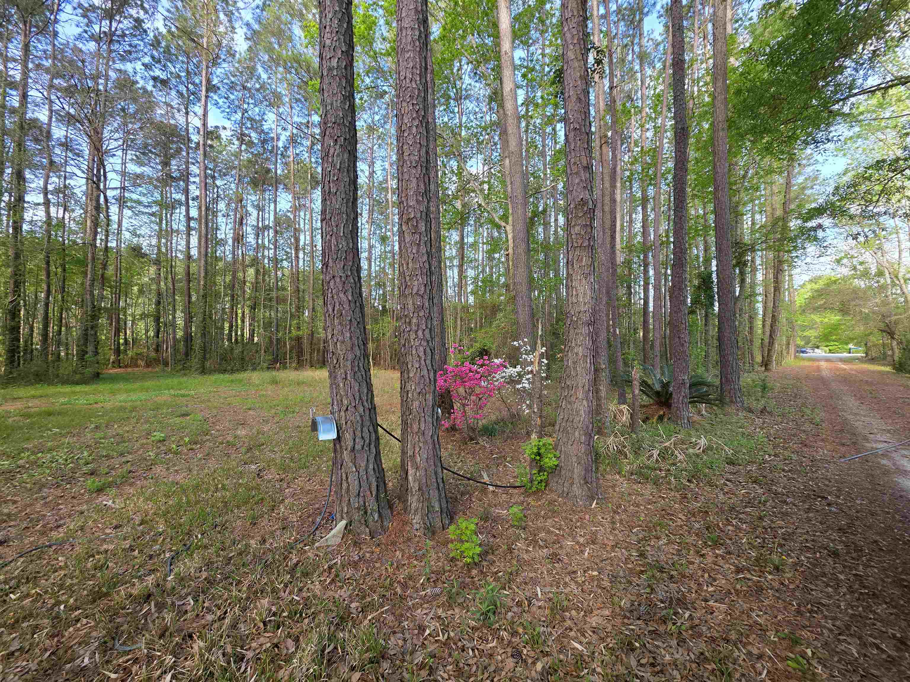 11091 Highway 707 Property Photo 34