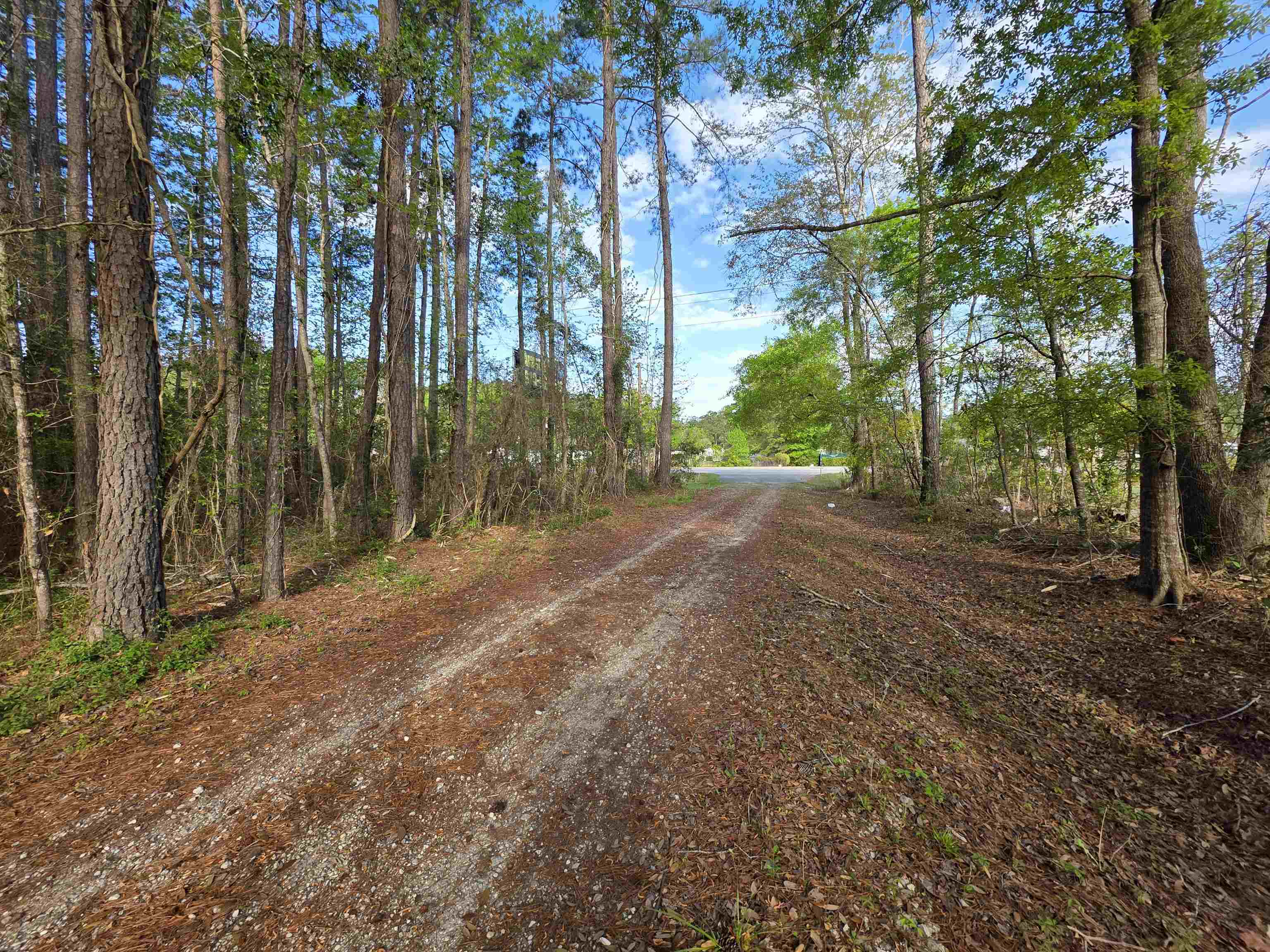 11091 Highway 707 Property Photo 36