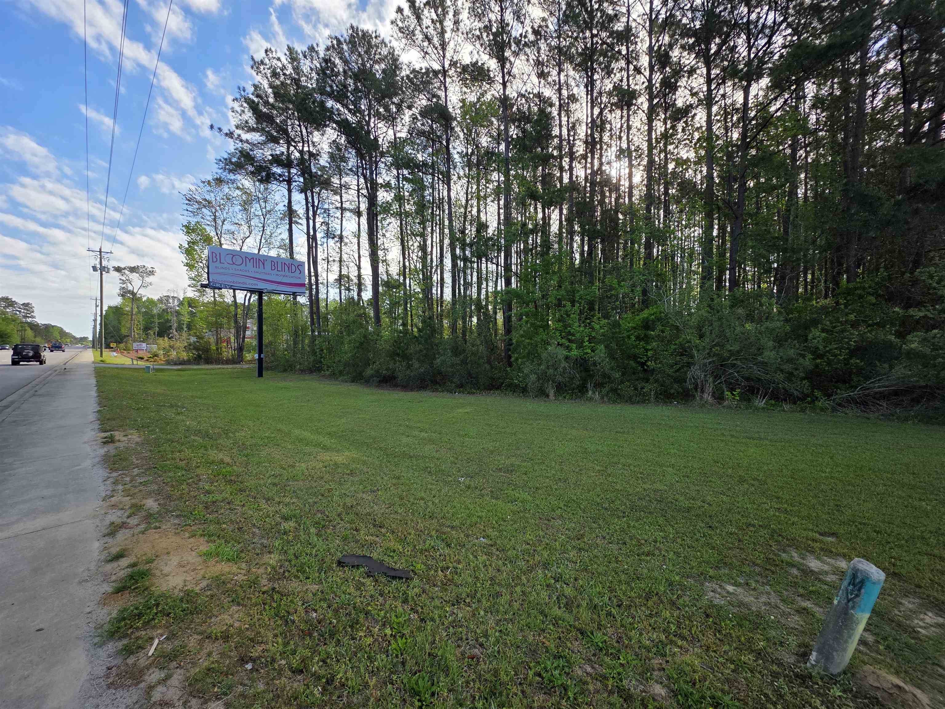 11091 Highway 707 Property Photo 38