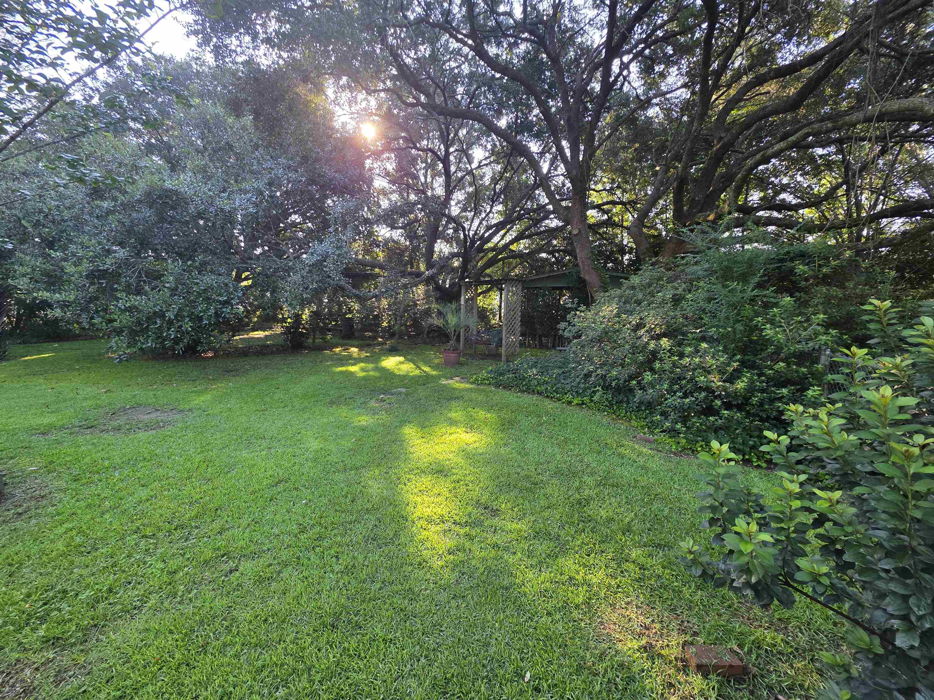 11091 Highway 707 Property Photo 38