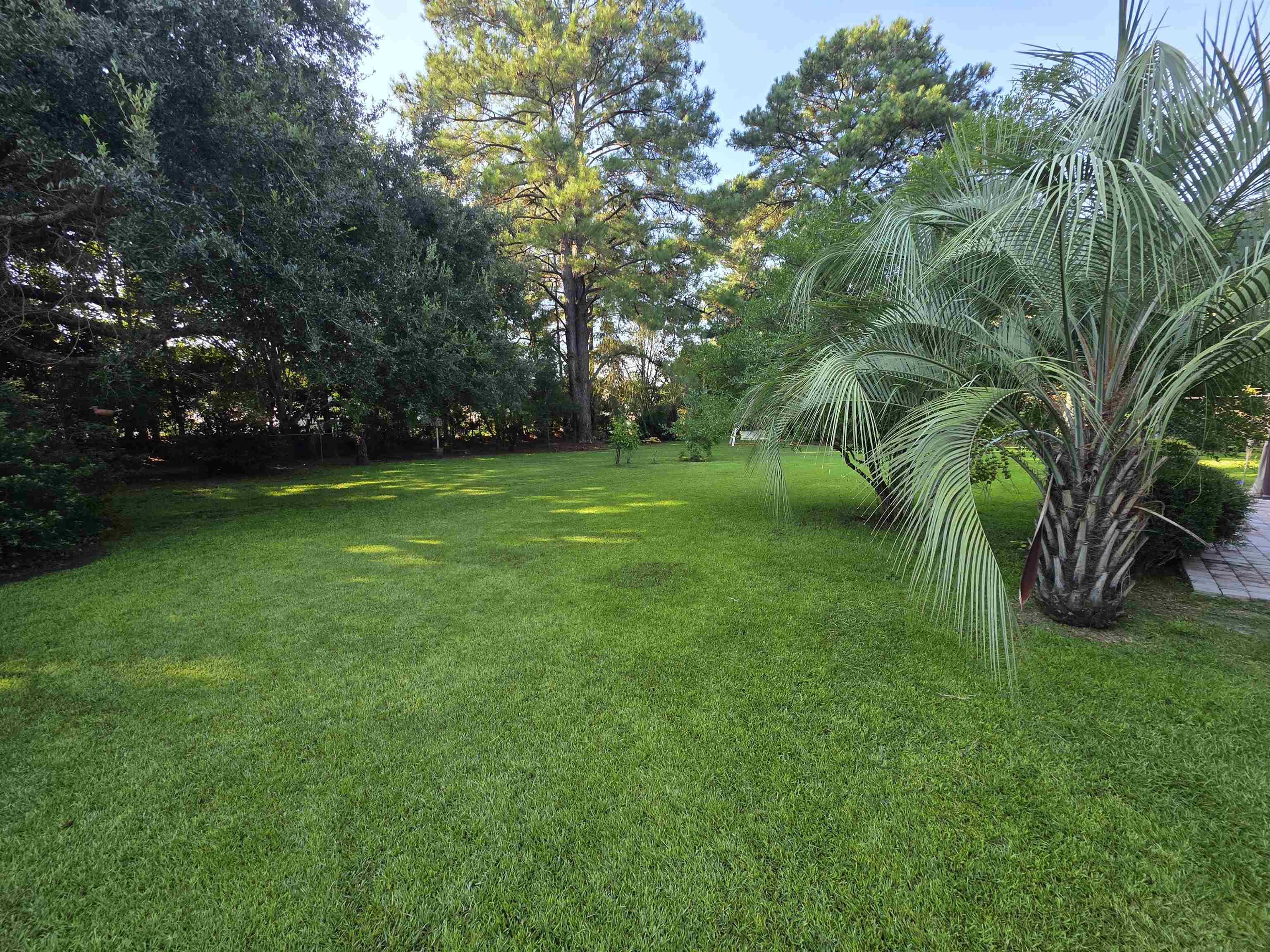 11091 Highway 707 Property Photo 39