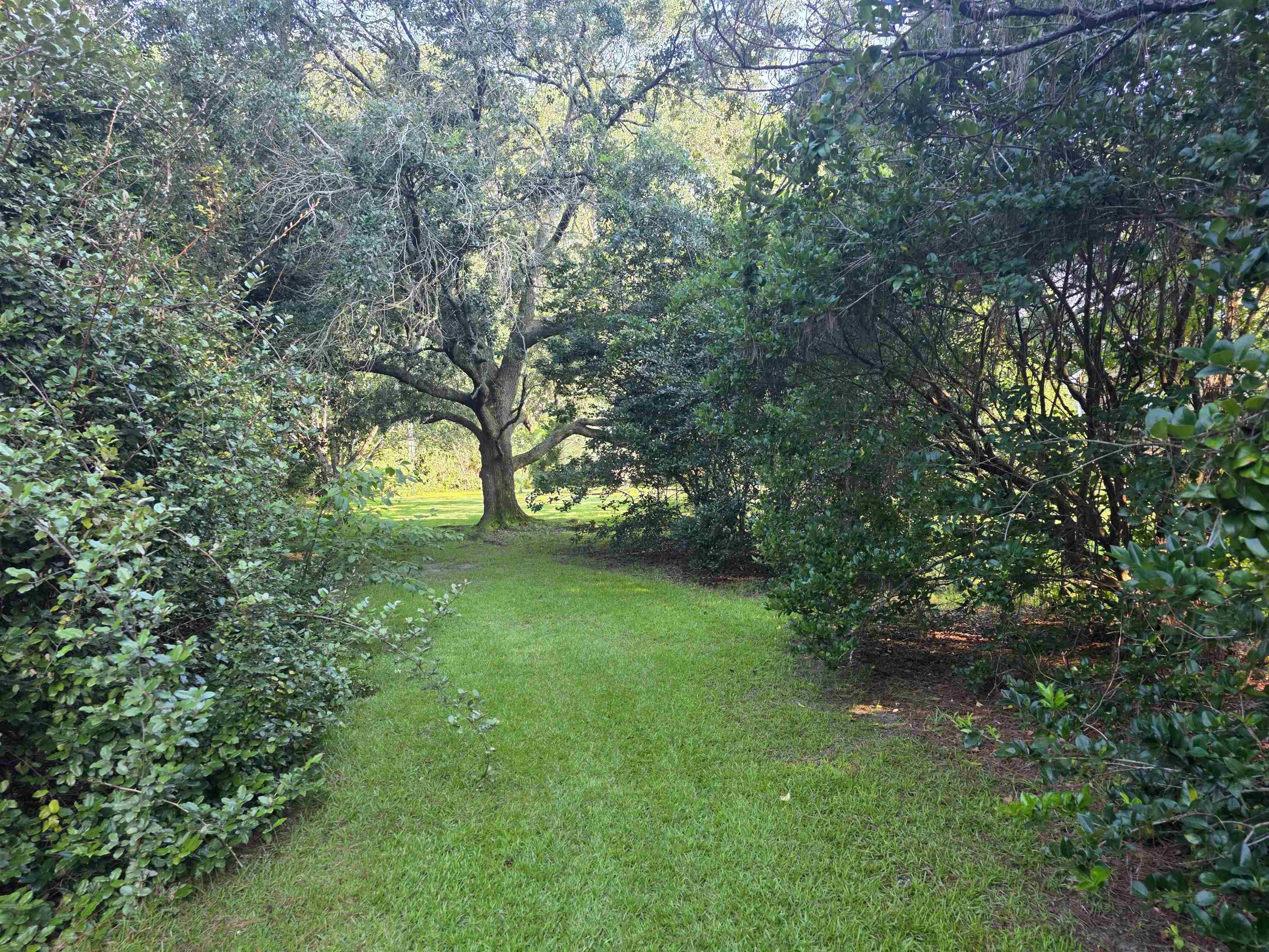 11091 Highway 707 Property Photo 41