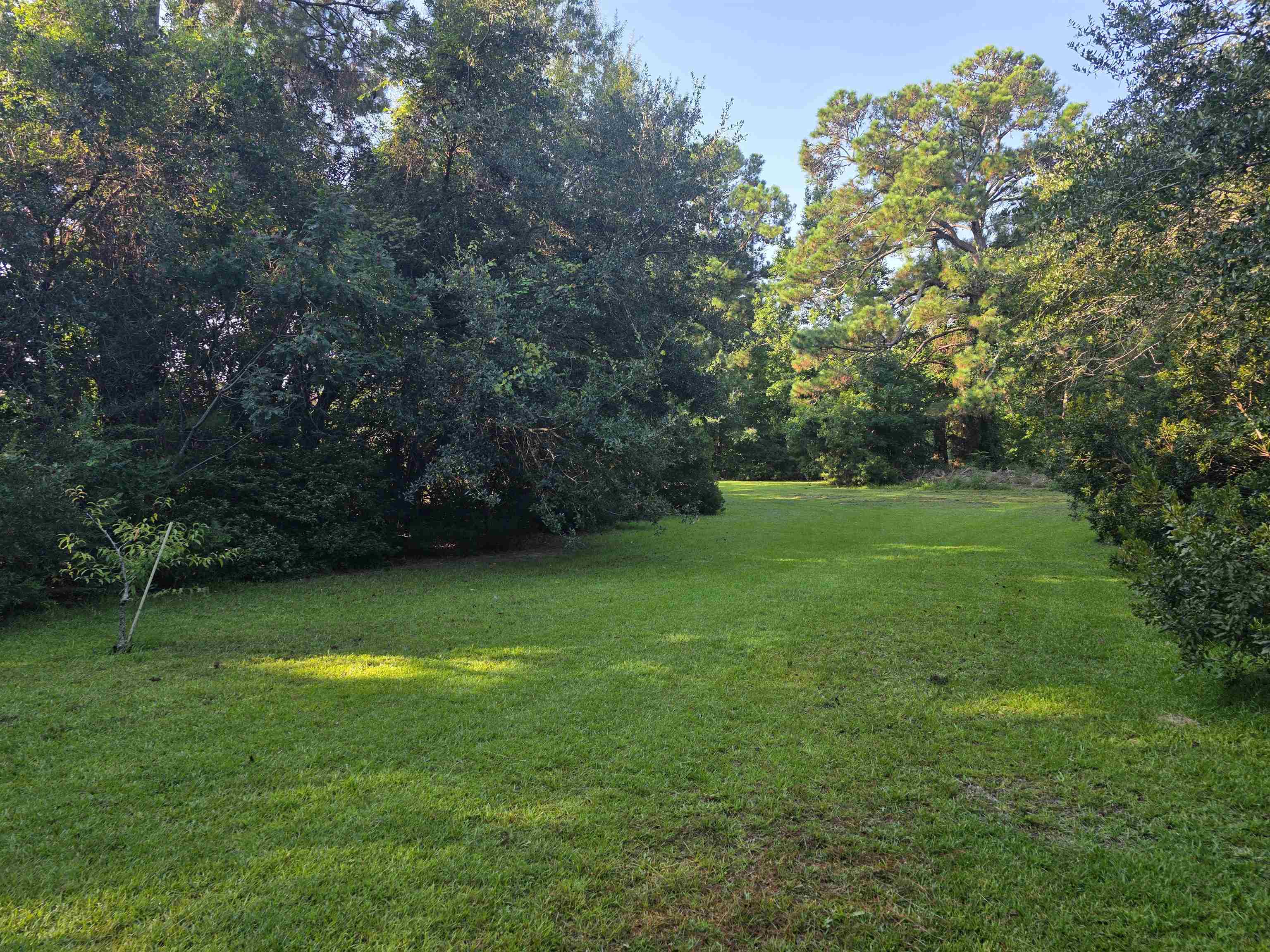 11091 Highway 707 Property Photo 42