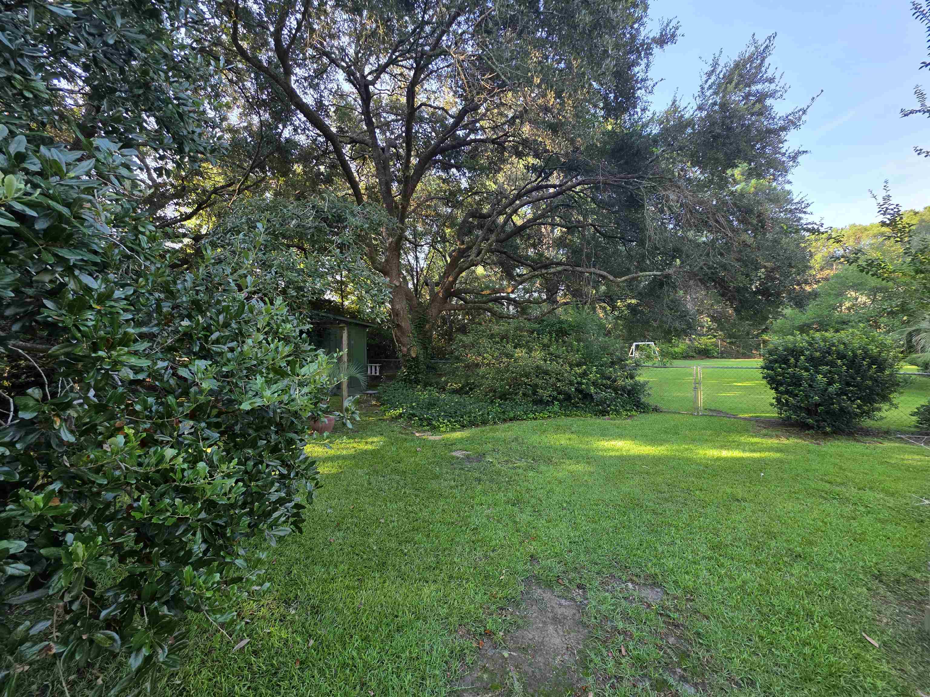 11091 Highway 707 Property Photo 47