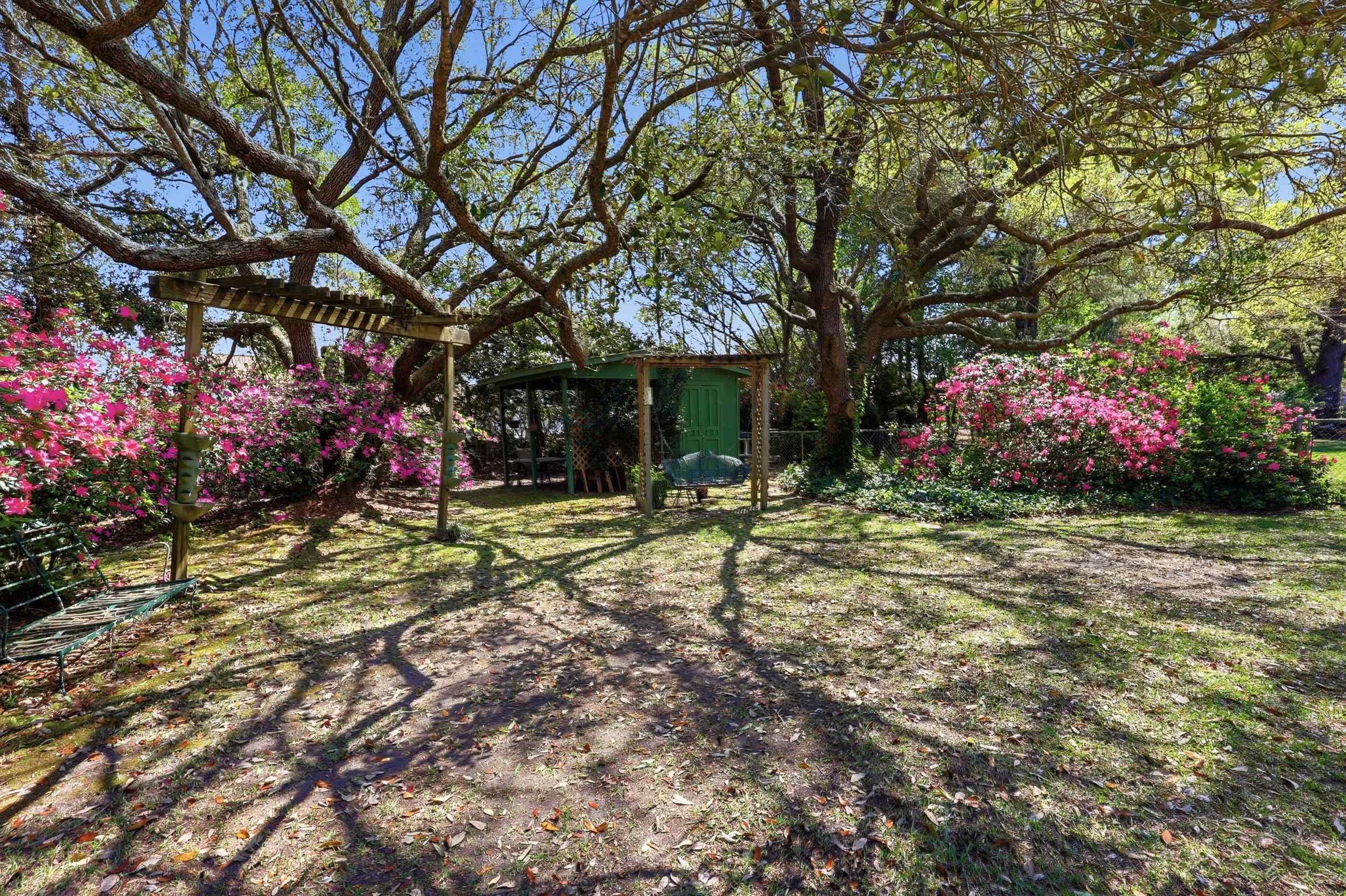 11091 Highway 707 Property Photo 28