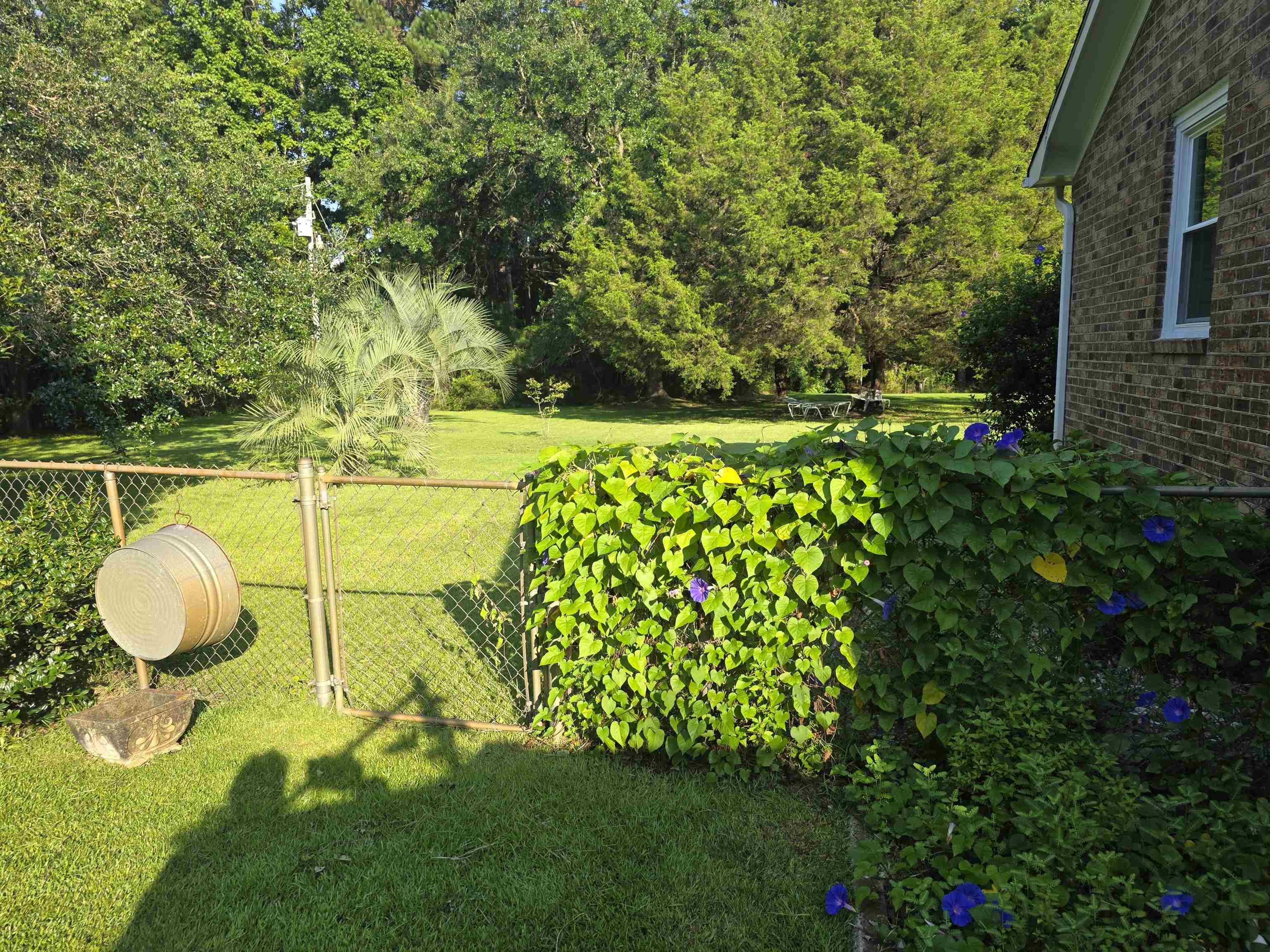 11091 Highway 707 Property Photo 48