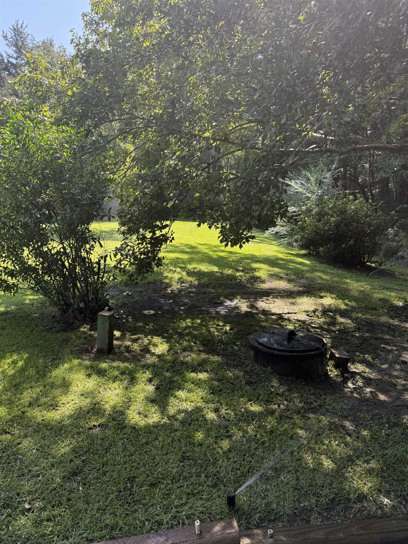 11091 Highway 707 Property Photo 49