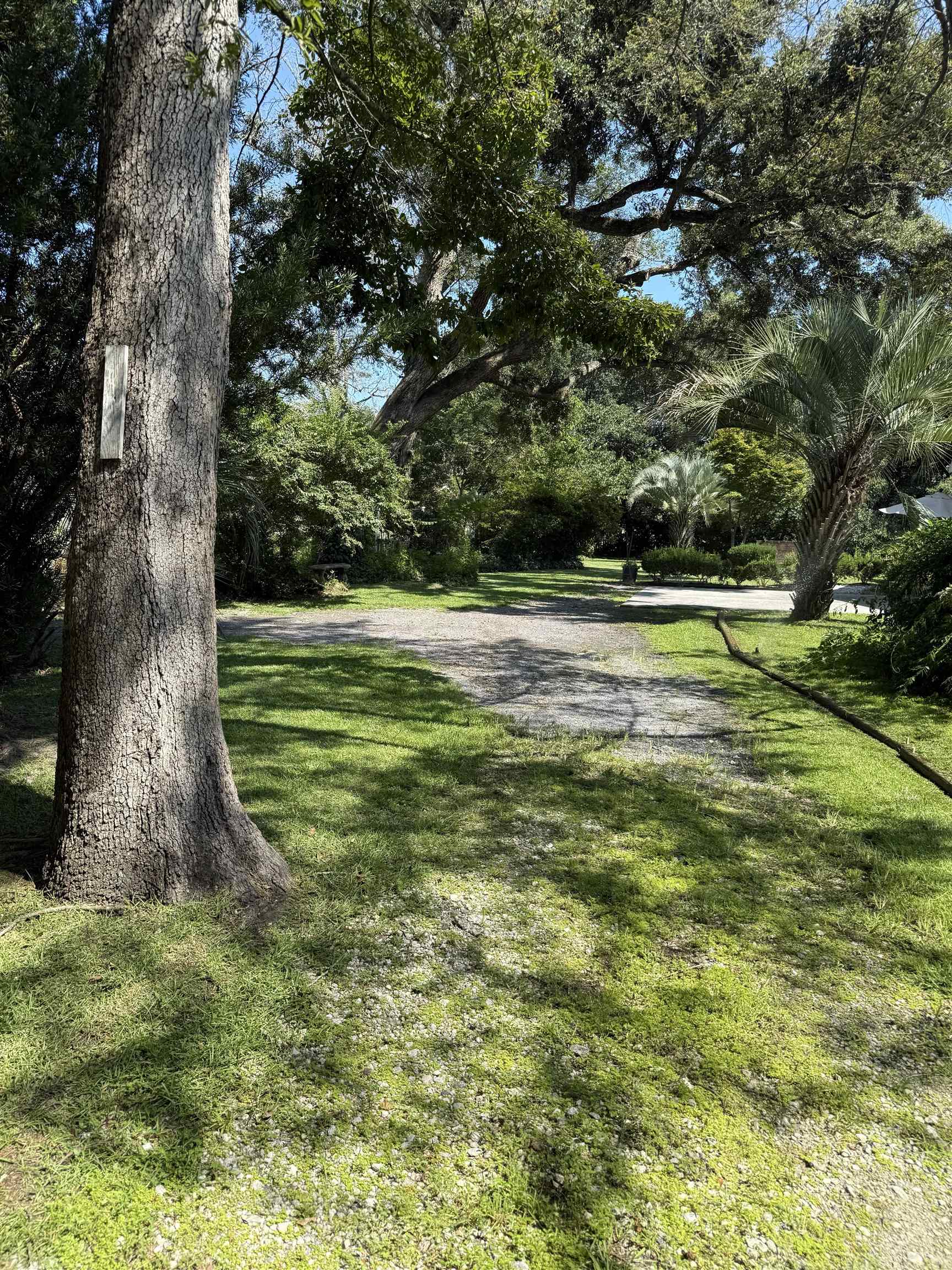 11091 Highway 707 Property Photo 52