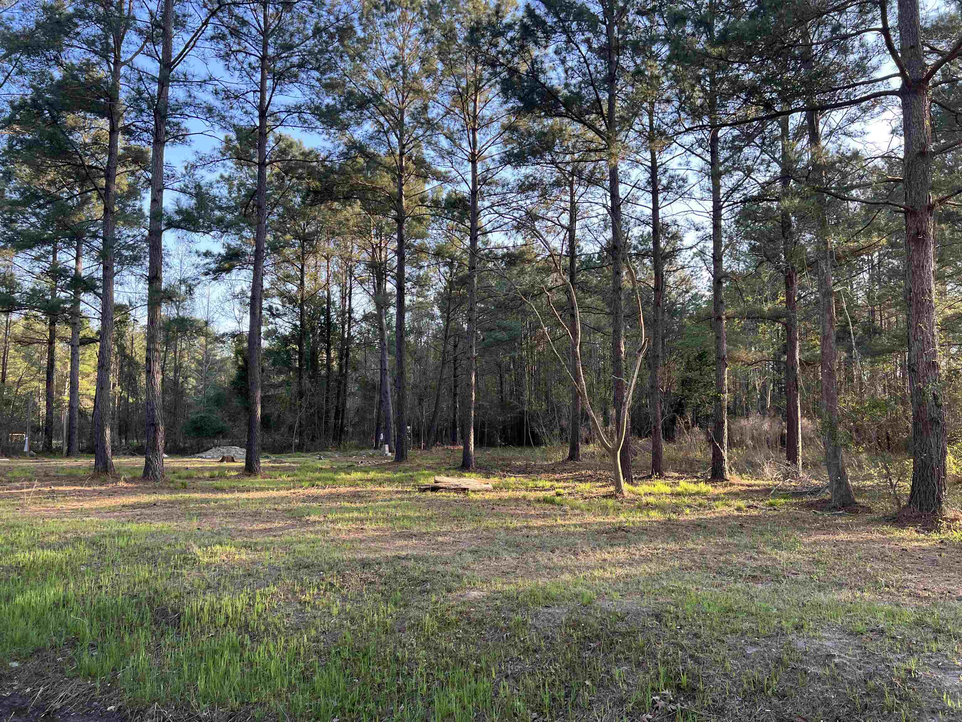 2108 Lees Landing Circle Property Photo 3