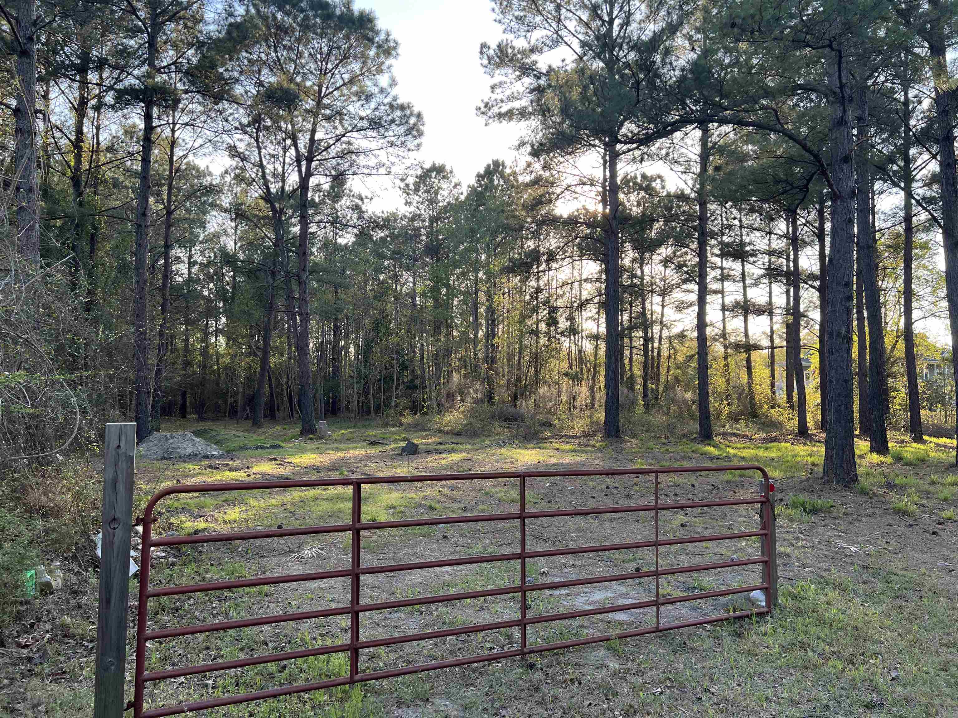 2108 Lees Landing Circle Property Photo 4