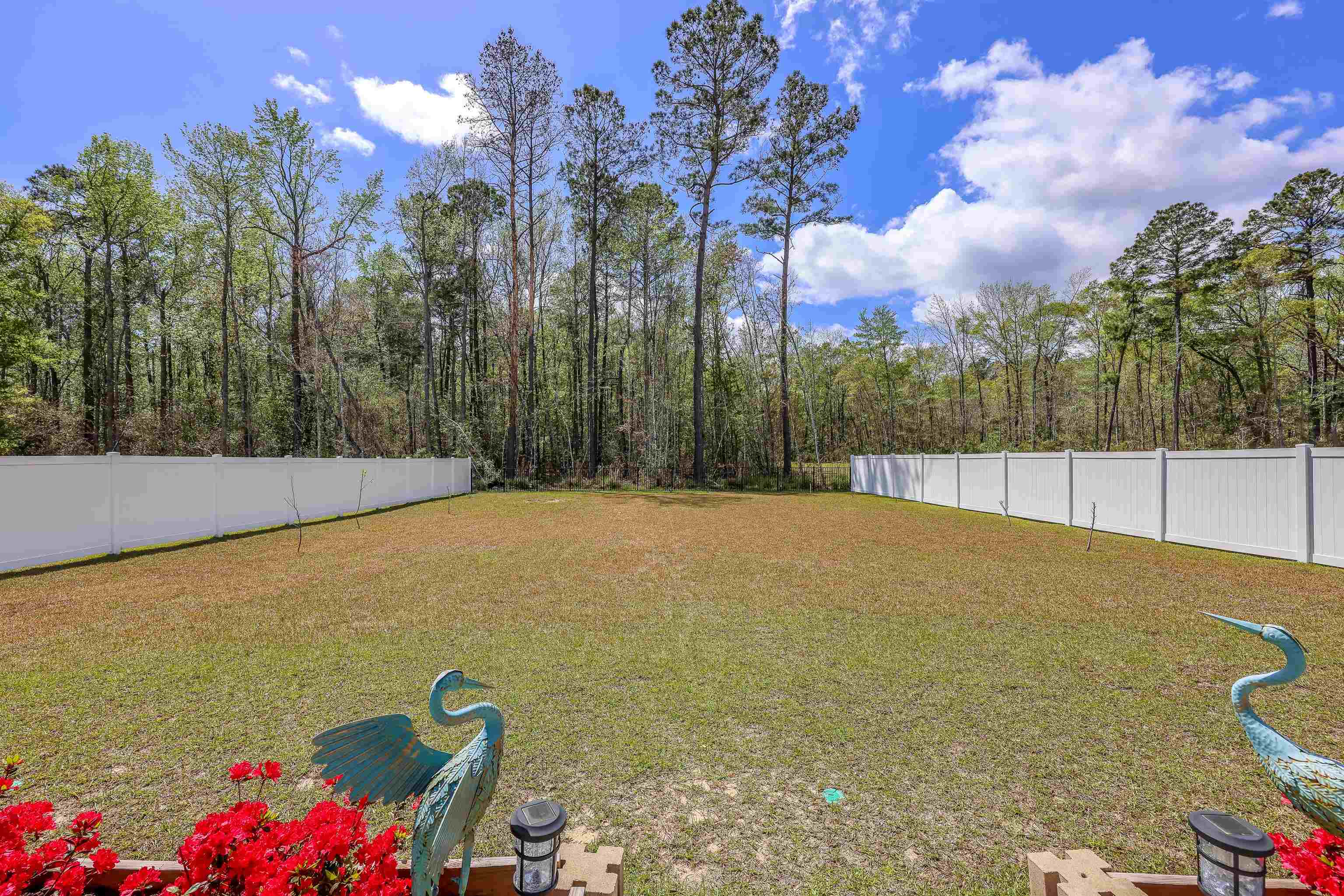 202 Linares St. Property Photo 20