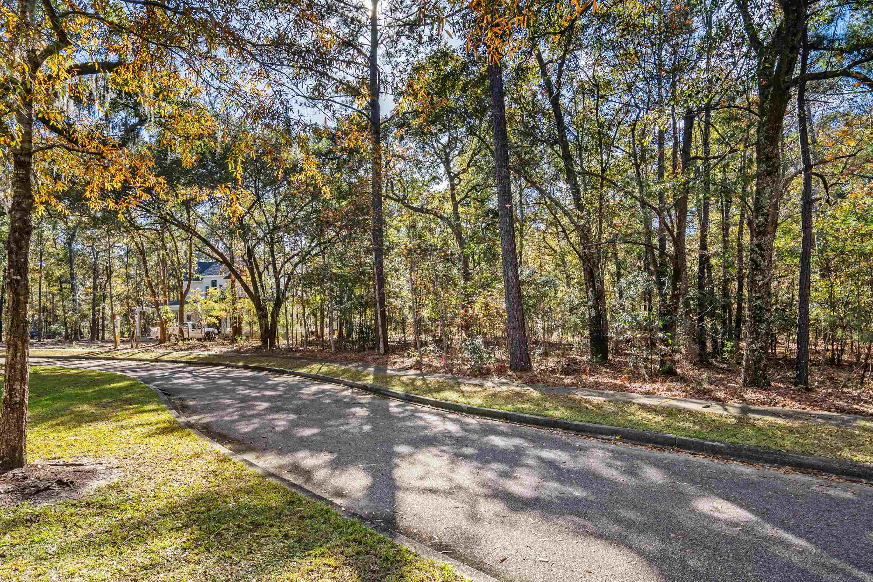92 Duany Dr. Property Photo 26