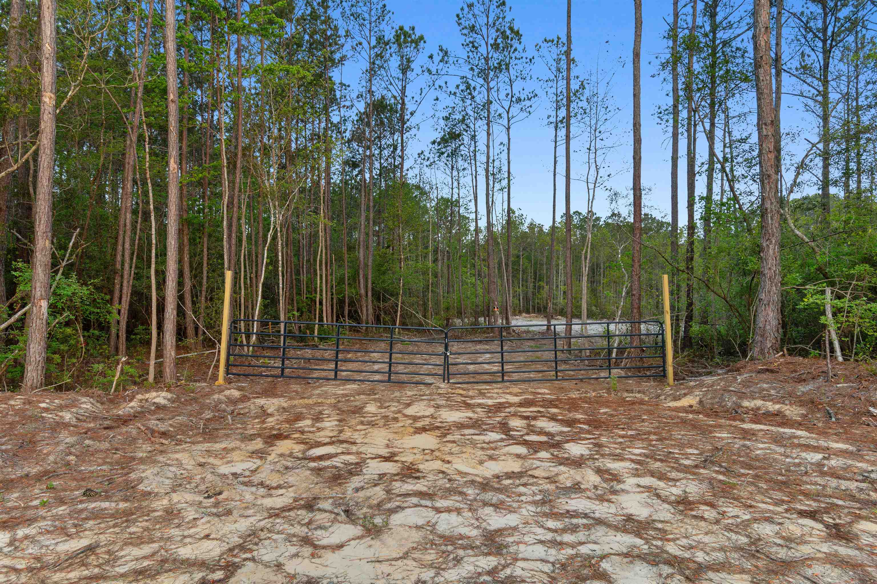 835 Indian Hut Rd. Property Photo 1