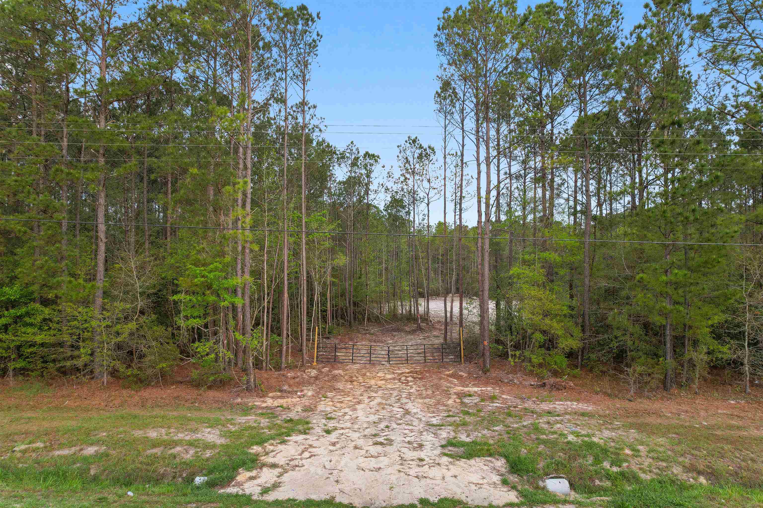 835 Indian Hut Rd. Property Photo 2