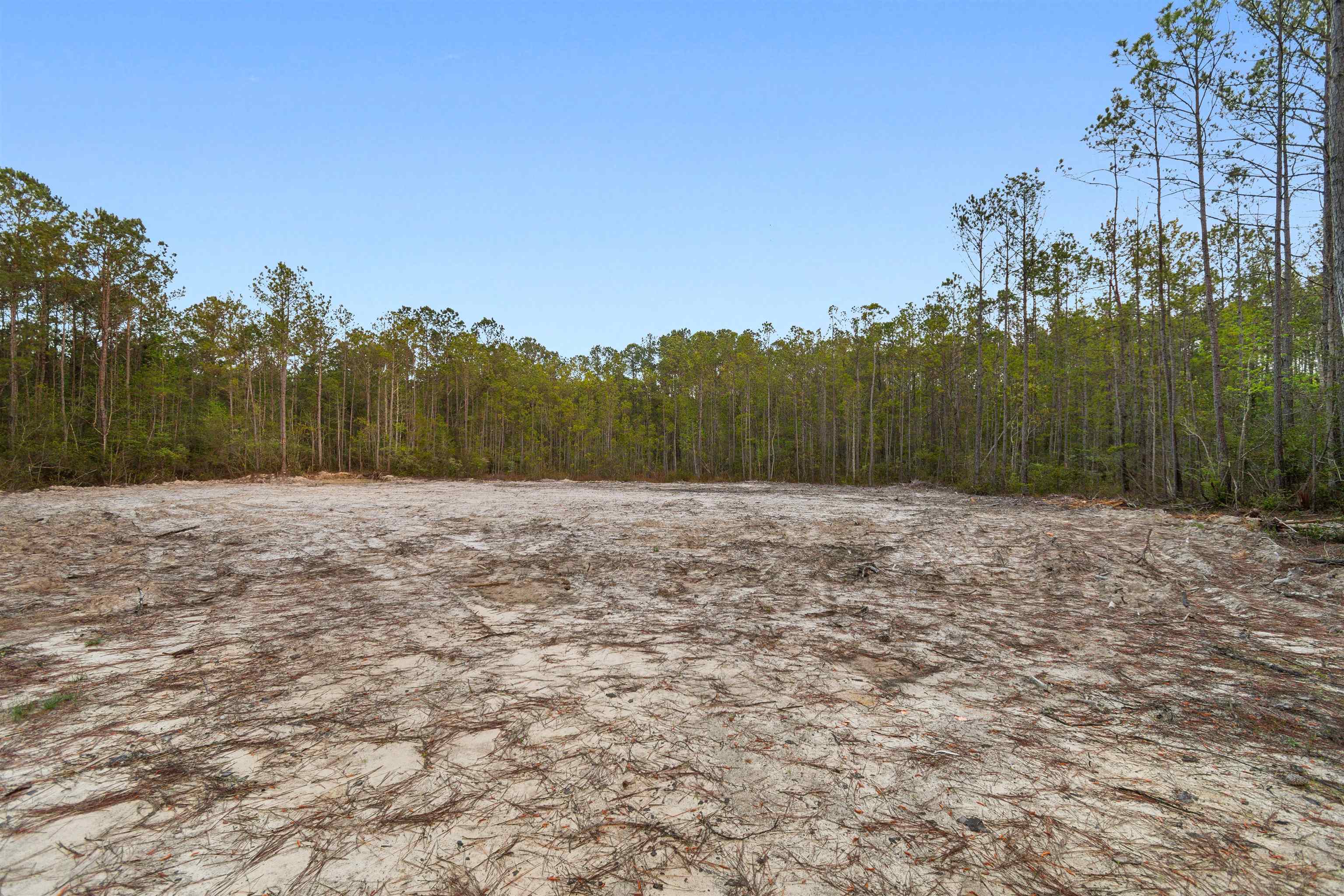 835 Indian Hut Rd. Property Photo 3