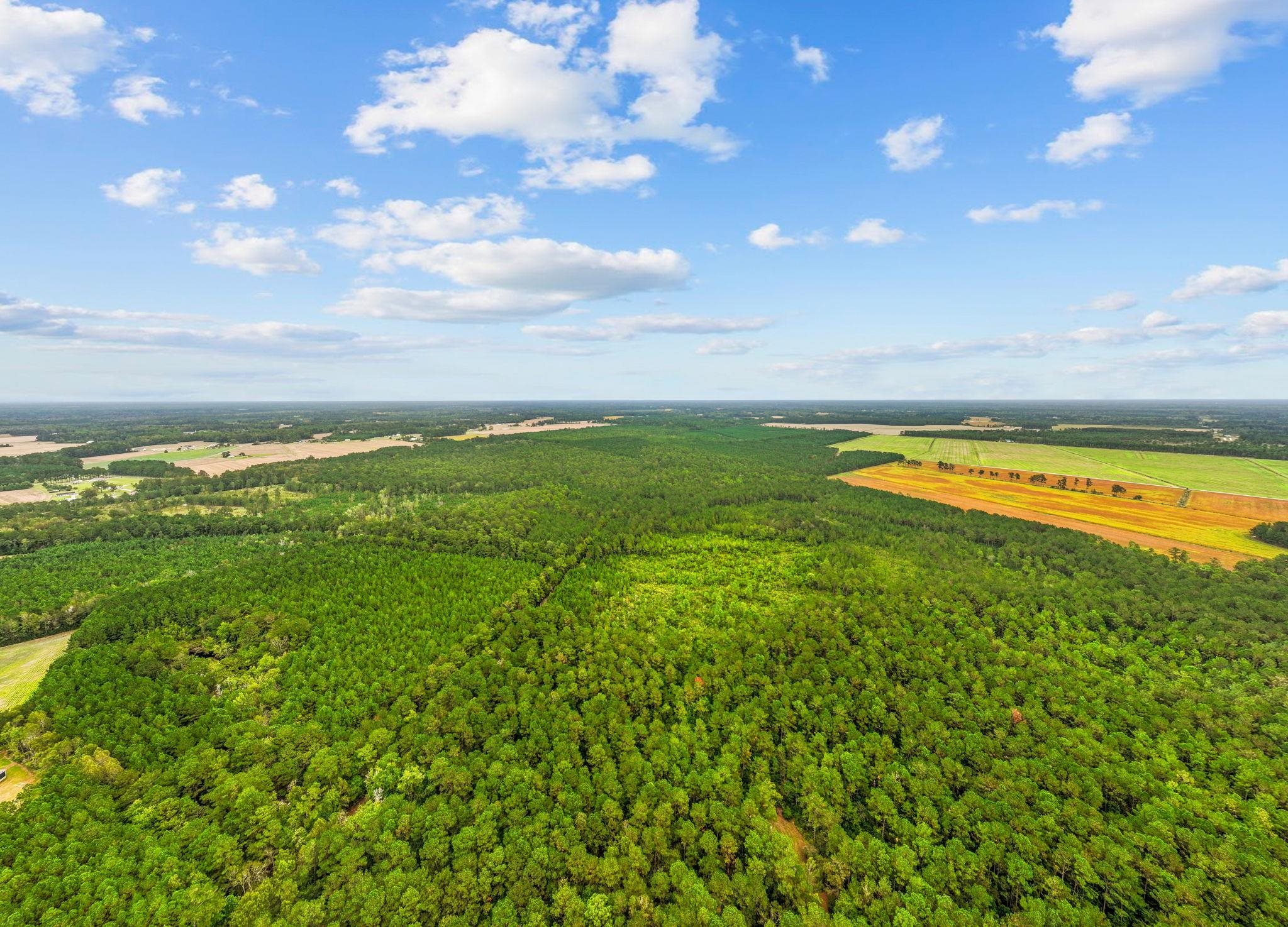 Tbd River Bend Rd. Property Photo 1