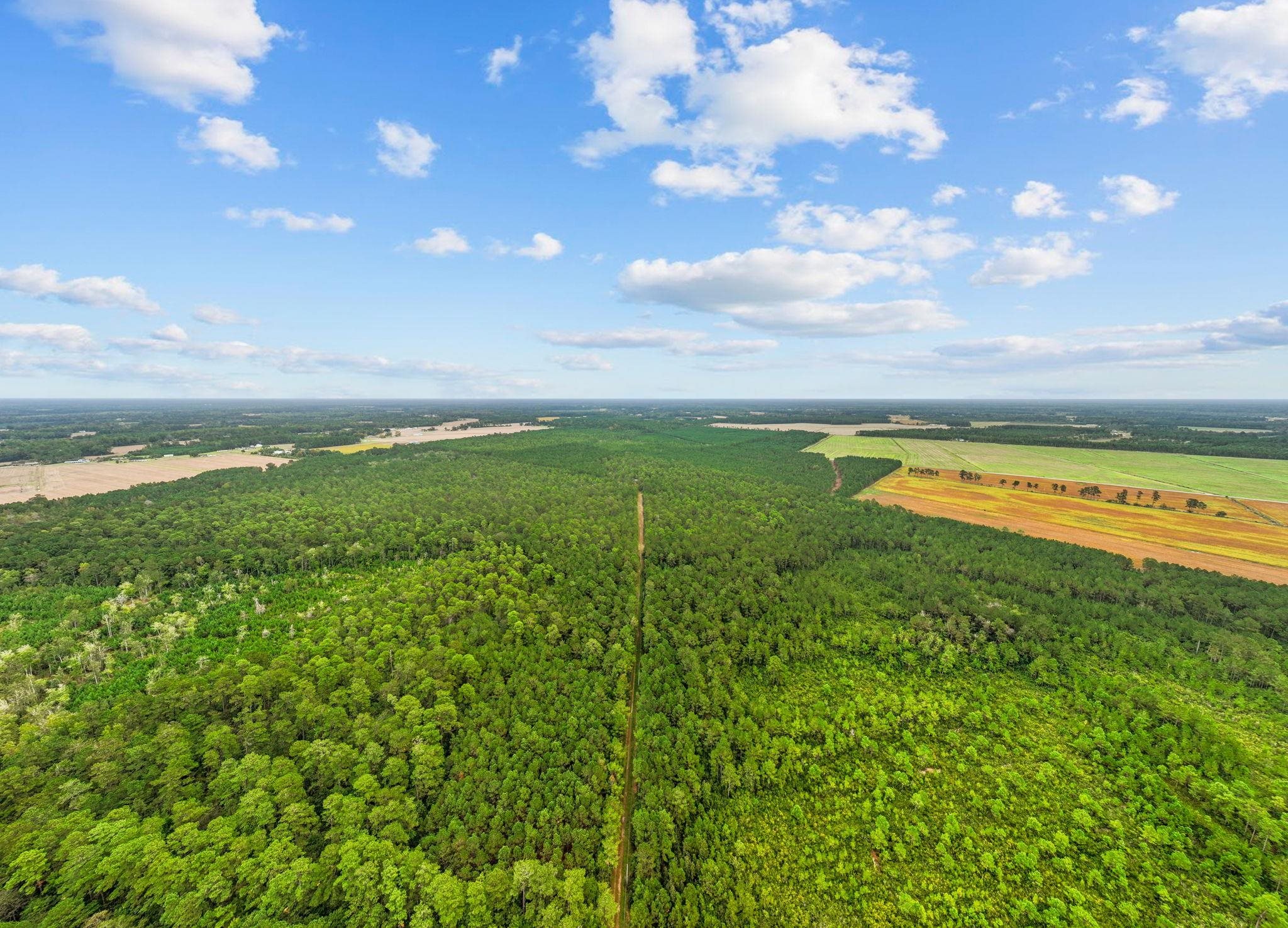 Tbd River Bend Rd. Property Photo 6
