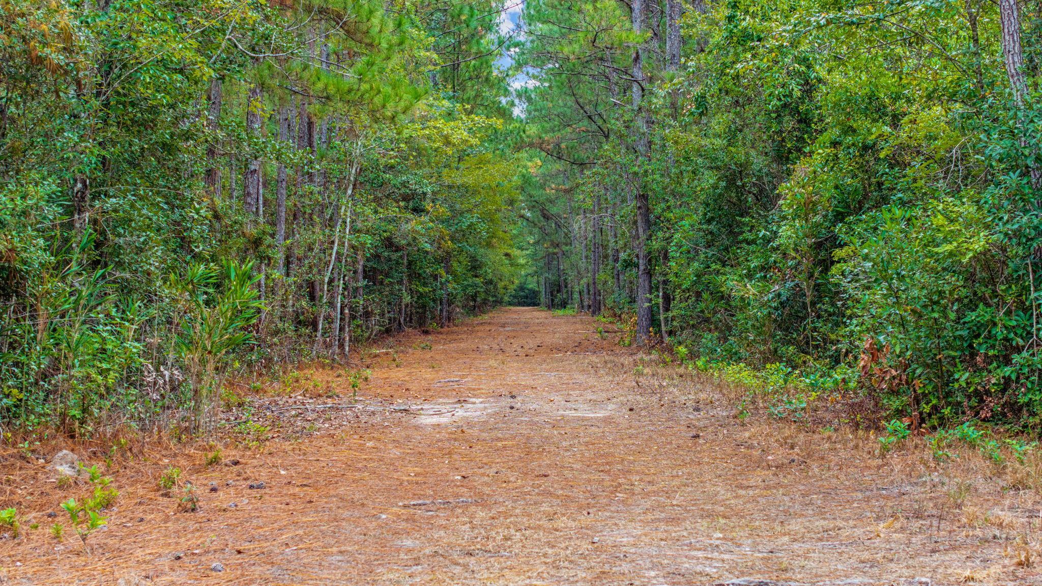 Tbd River Bend Rd. Property Photo 12