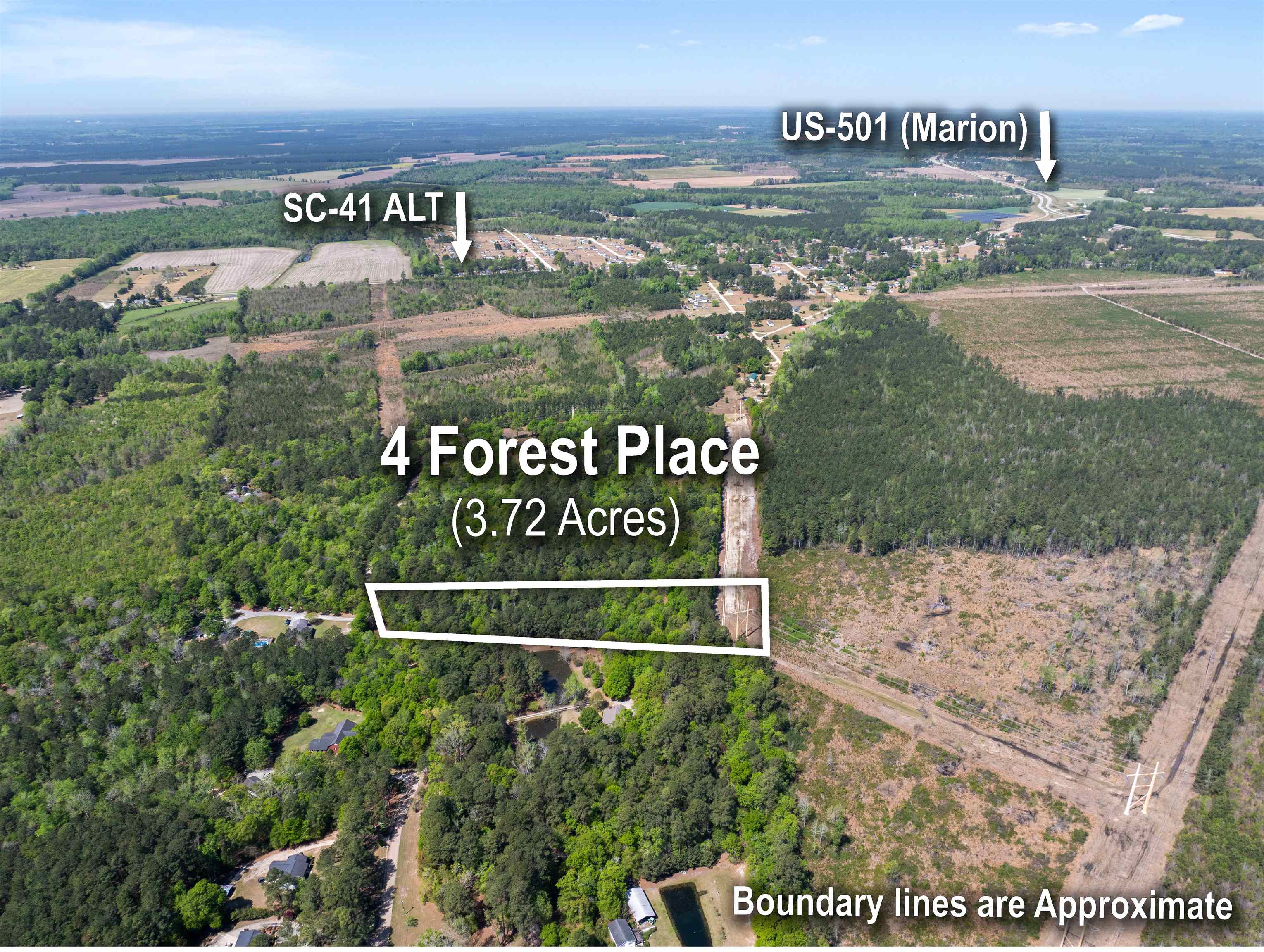 4 Forest Pl. Property Photo 2