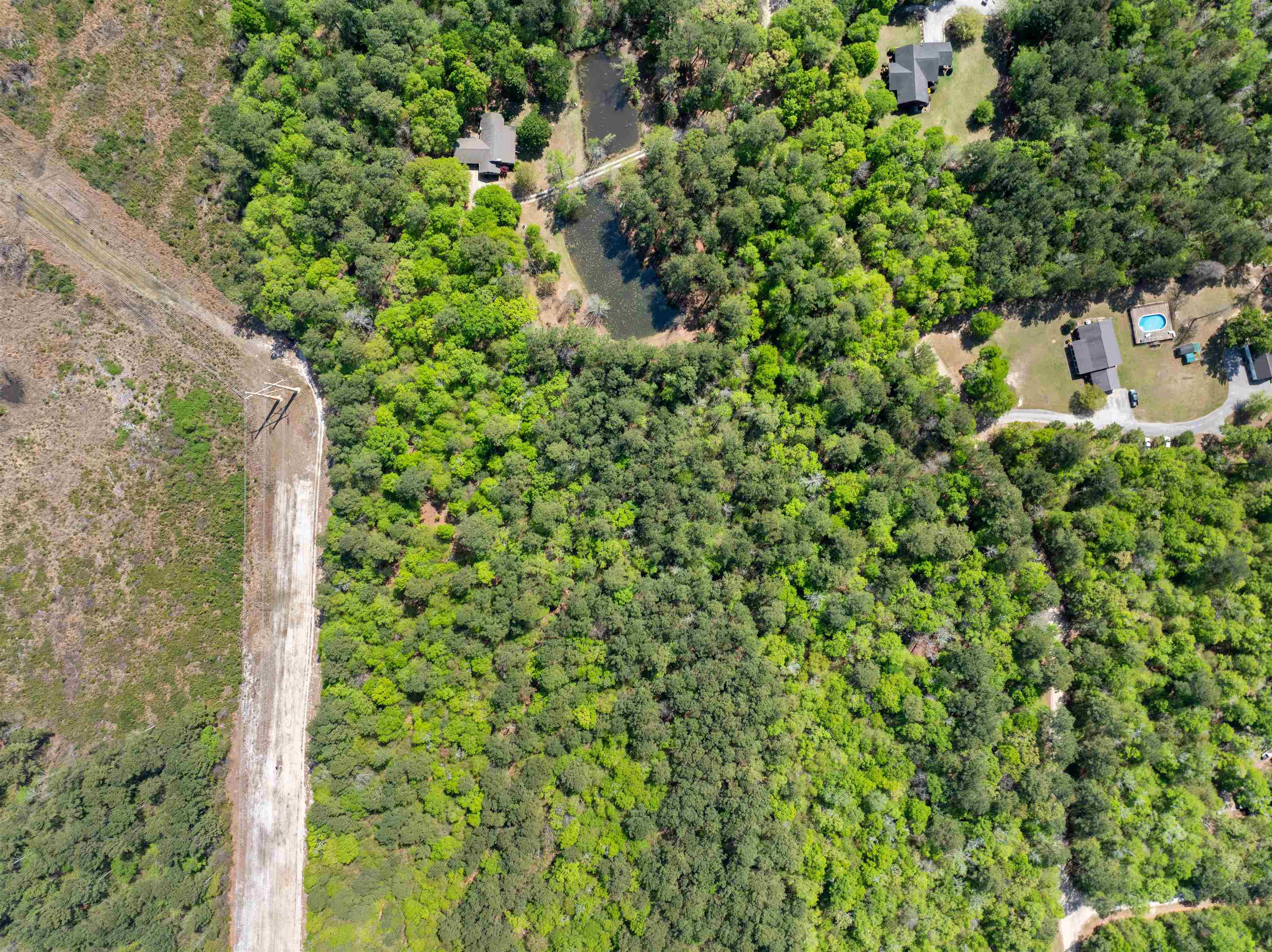 4 Forest Pl. Property Photo 4