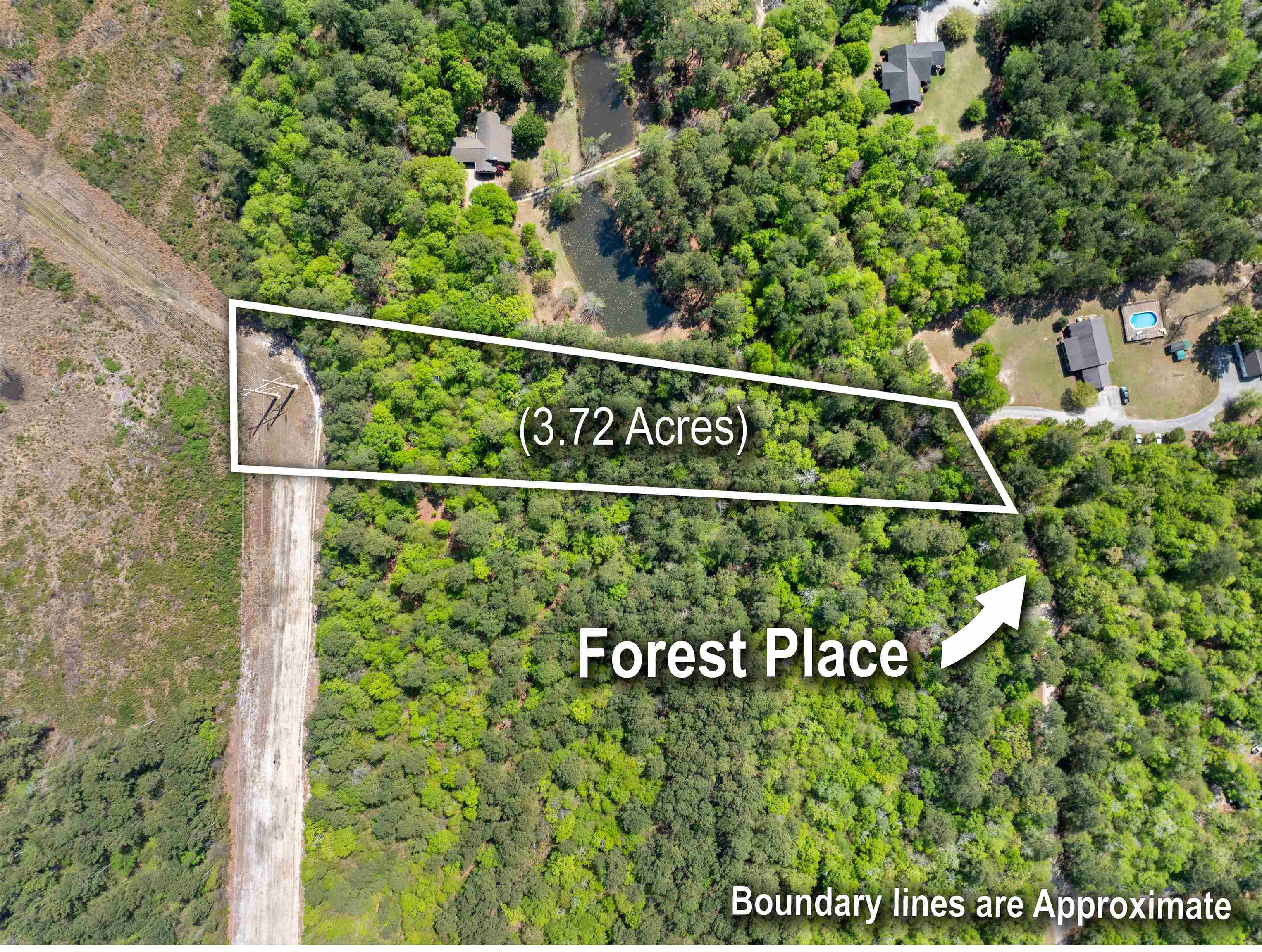 4 Forest Pl. Property Photo 11