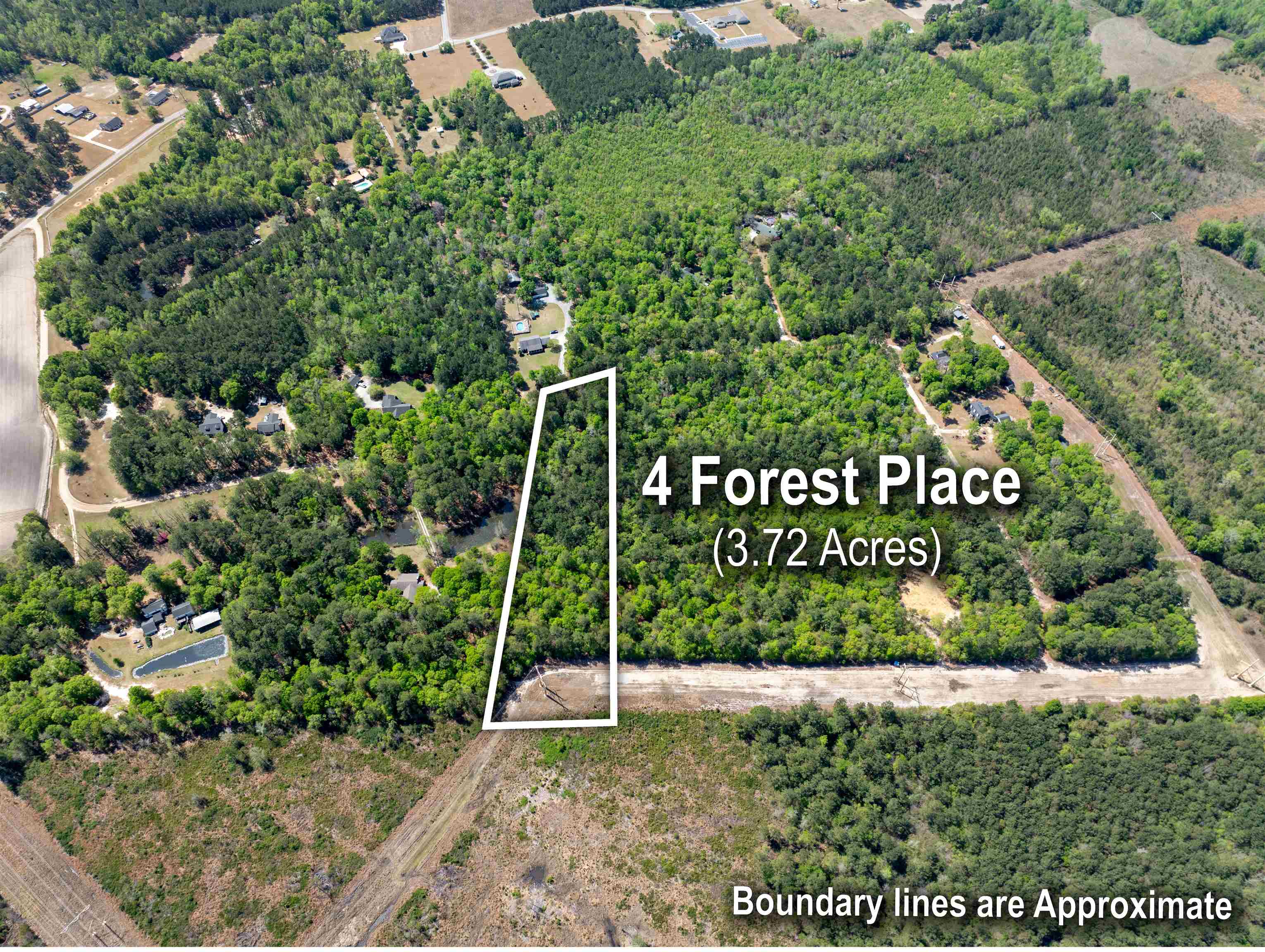 4 Forest Pl. Property Photo 12