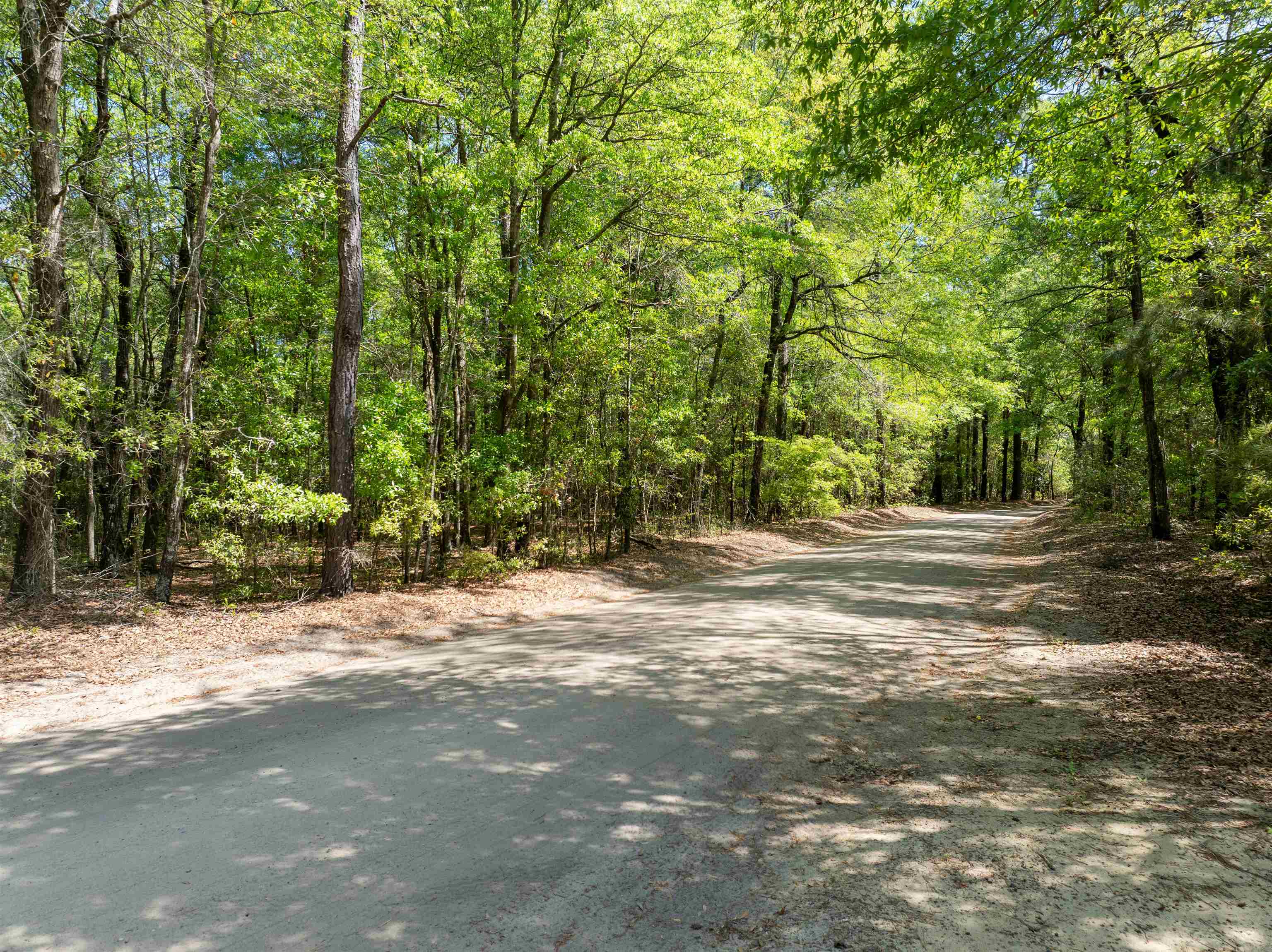 4 Forest Pl. Property Photo 13