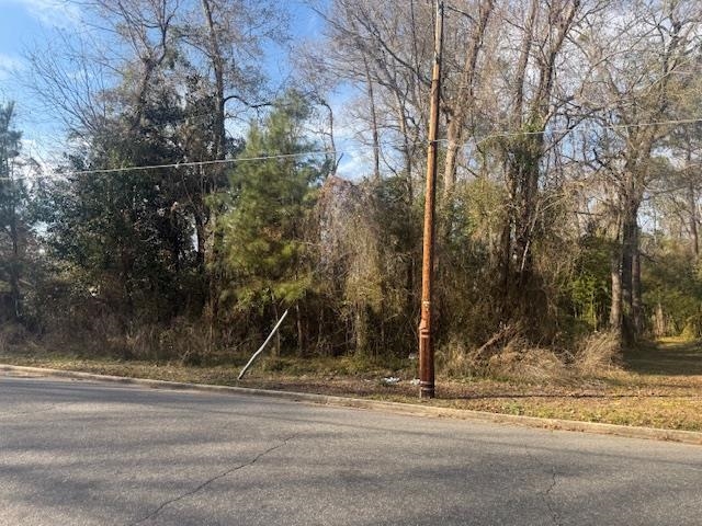 Near 217/tbd East Clay St. Property Photo 2
