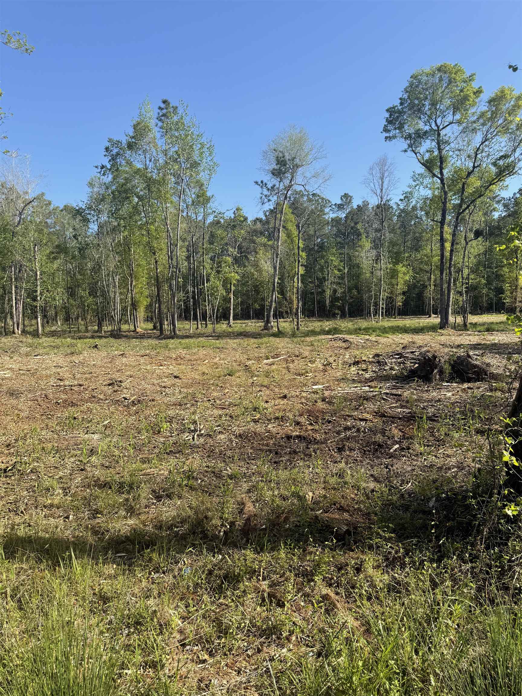 Tbd Pauley Swamp Rd. Property Photo 1
