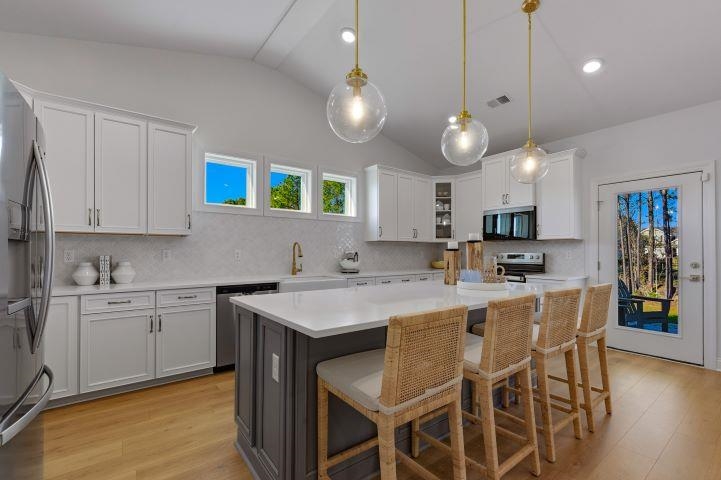 1032 Cavaletti Ct. Property Photo 3