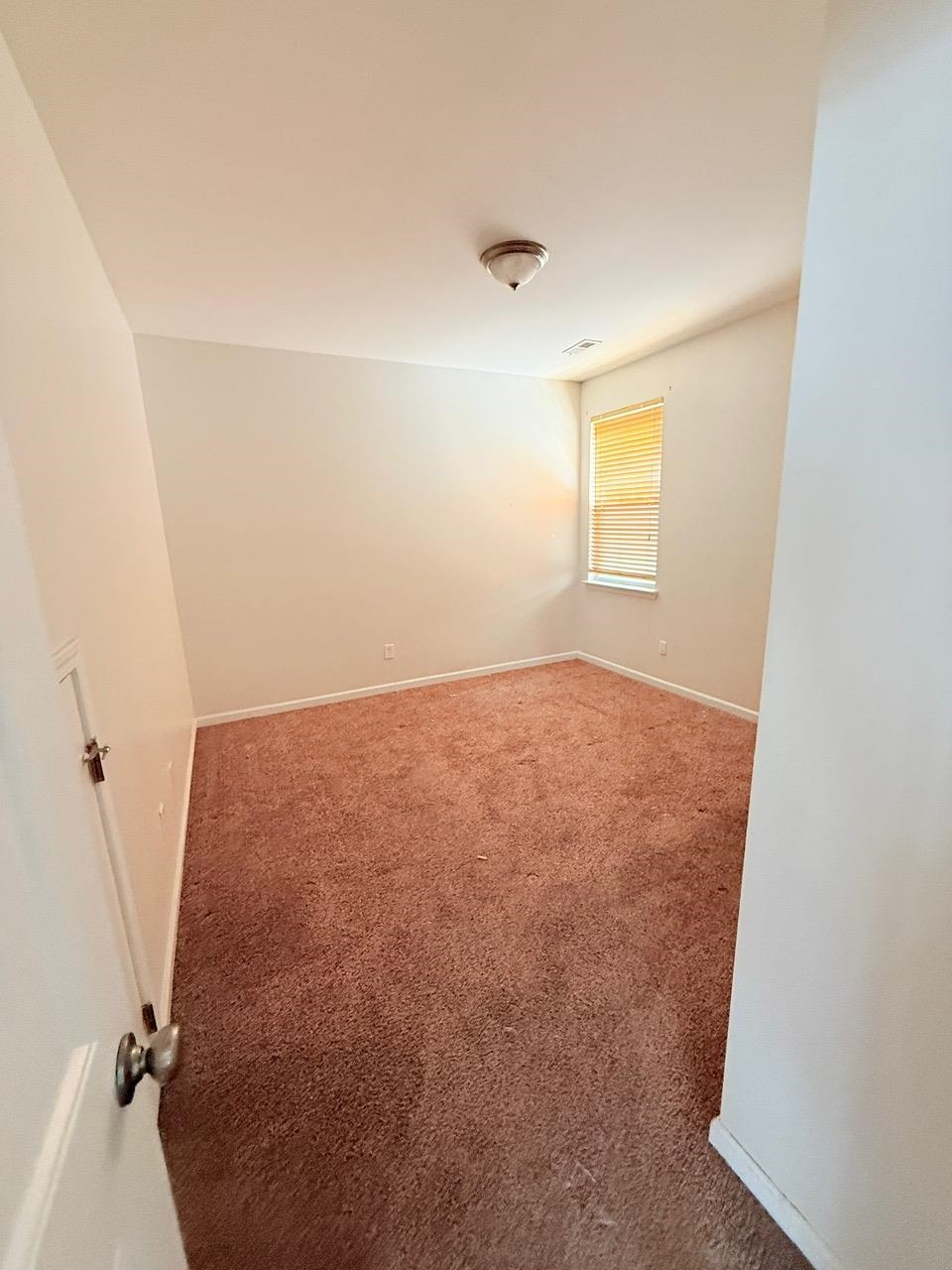 915 Oglethorpe Dr. Property Photo 33