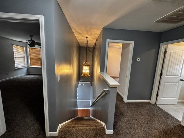 915 Oglethorpe Dr. Property Photo 43