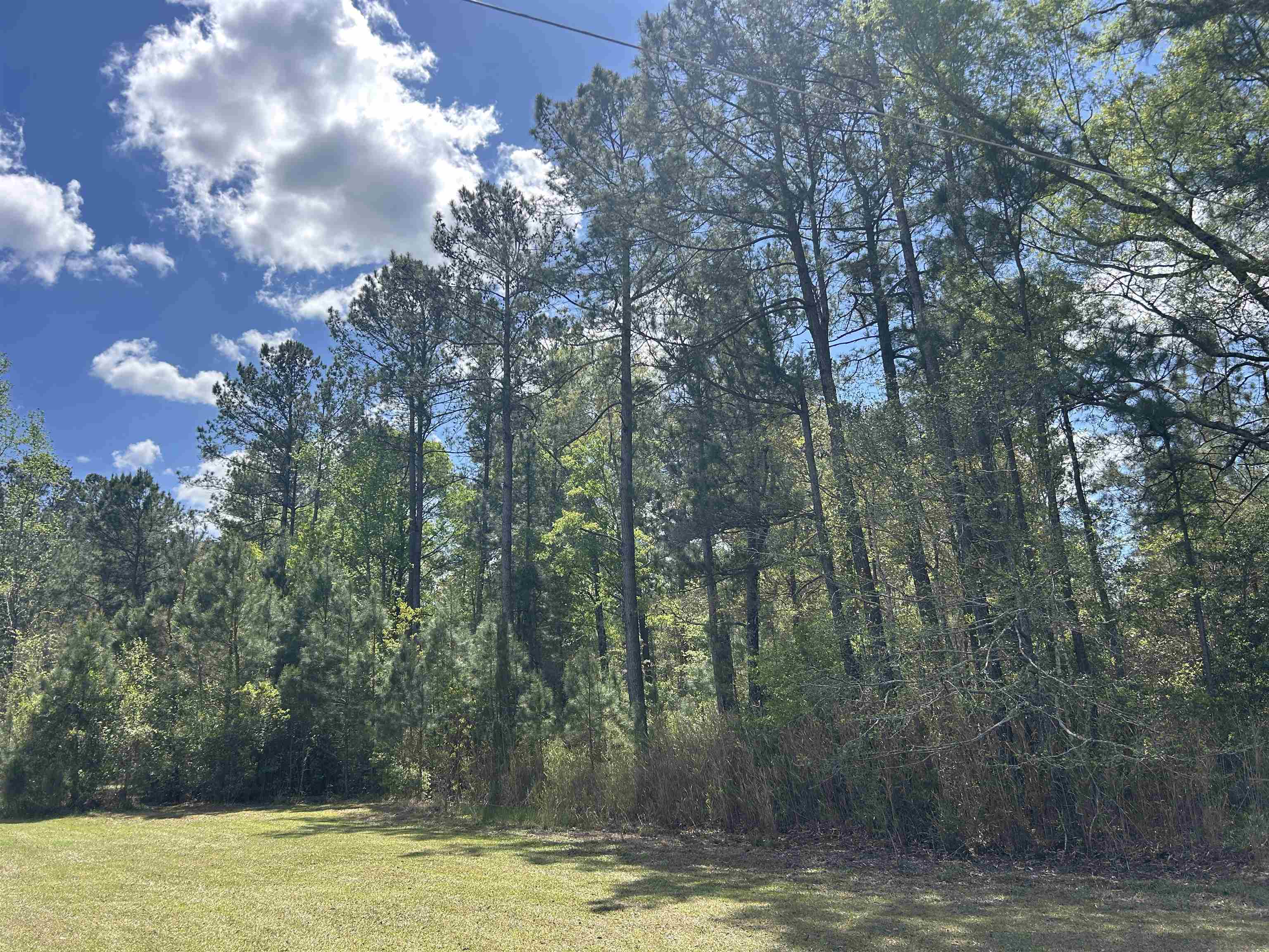 Tbd Georgetown Hwy. Property Photo 2