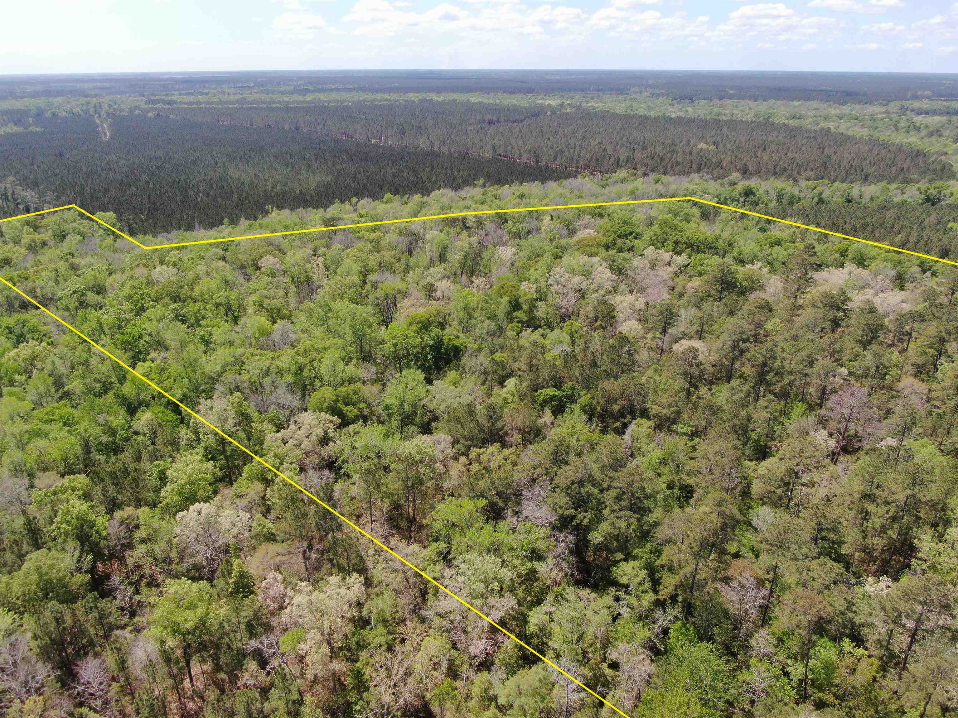 Tbd Georgetown Hwy. Property Photo 4