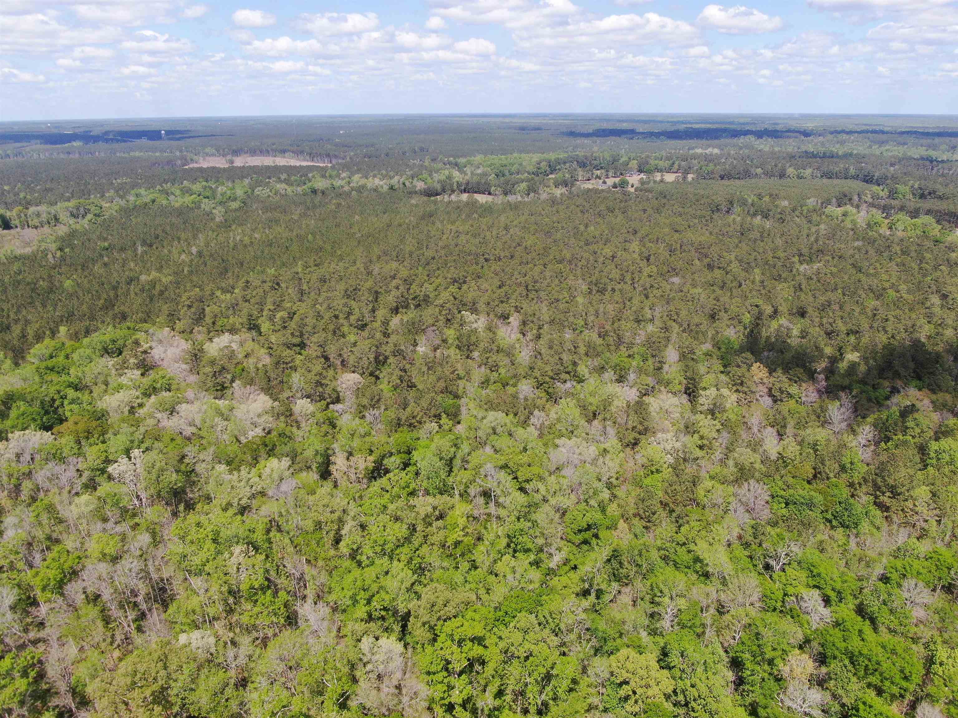 Tbd Georgetown Hwy. Property Photo 5