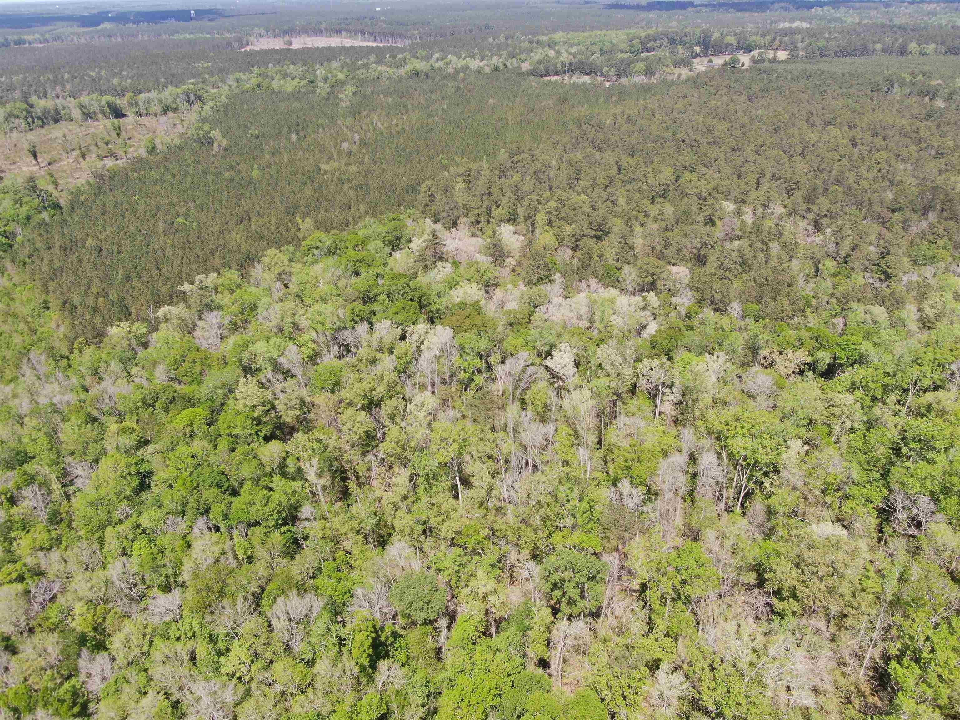 Tbd Georgetown Hwy. Property Photo 6