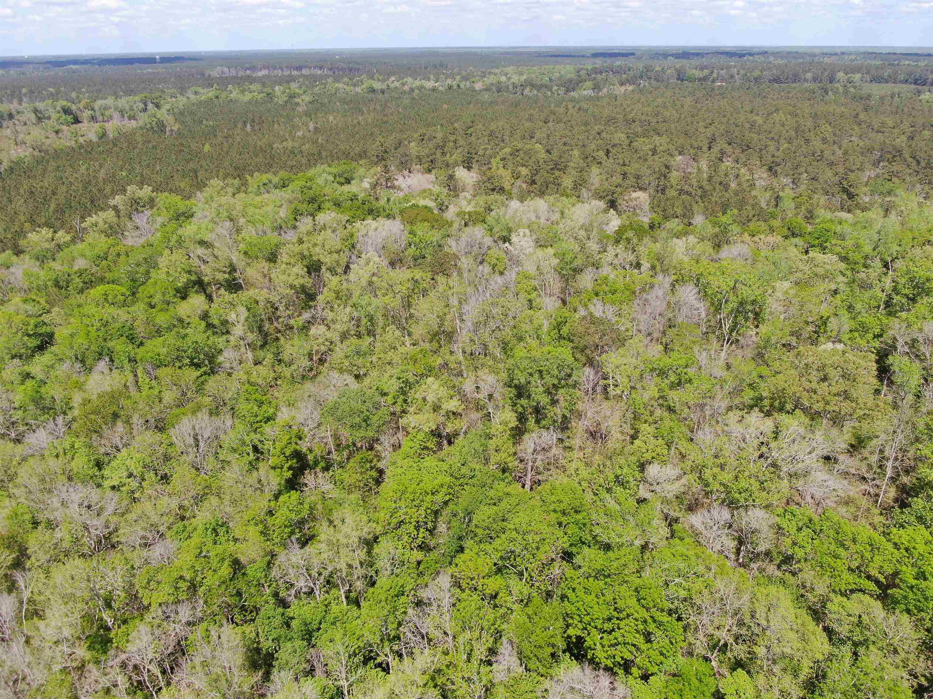 Tbd Georgetown Hwy. Property Photo 7