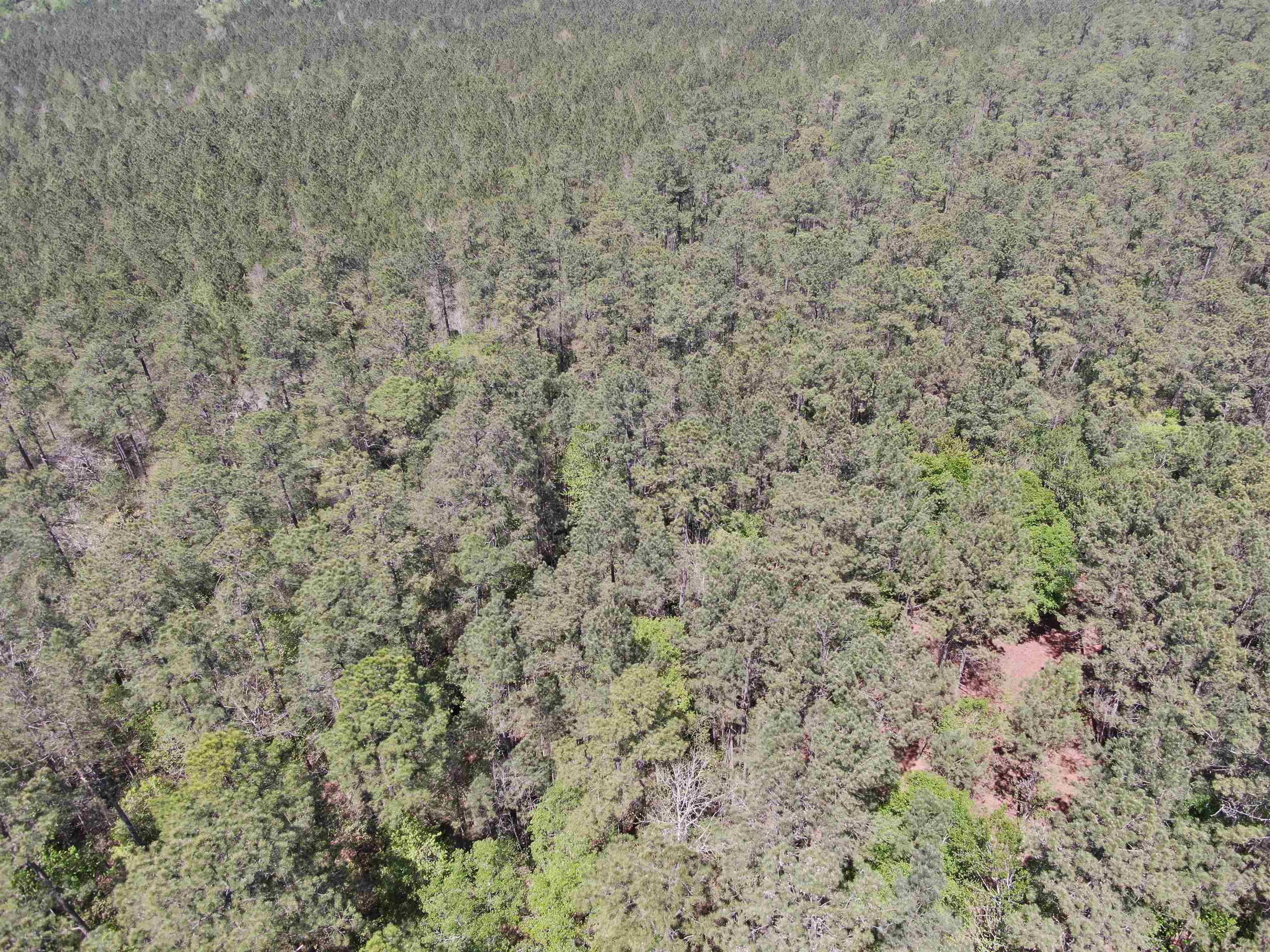 Tbd Georgetown Hwy. Property Photo 8