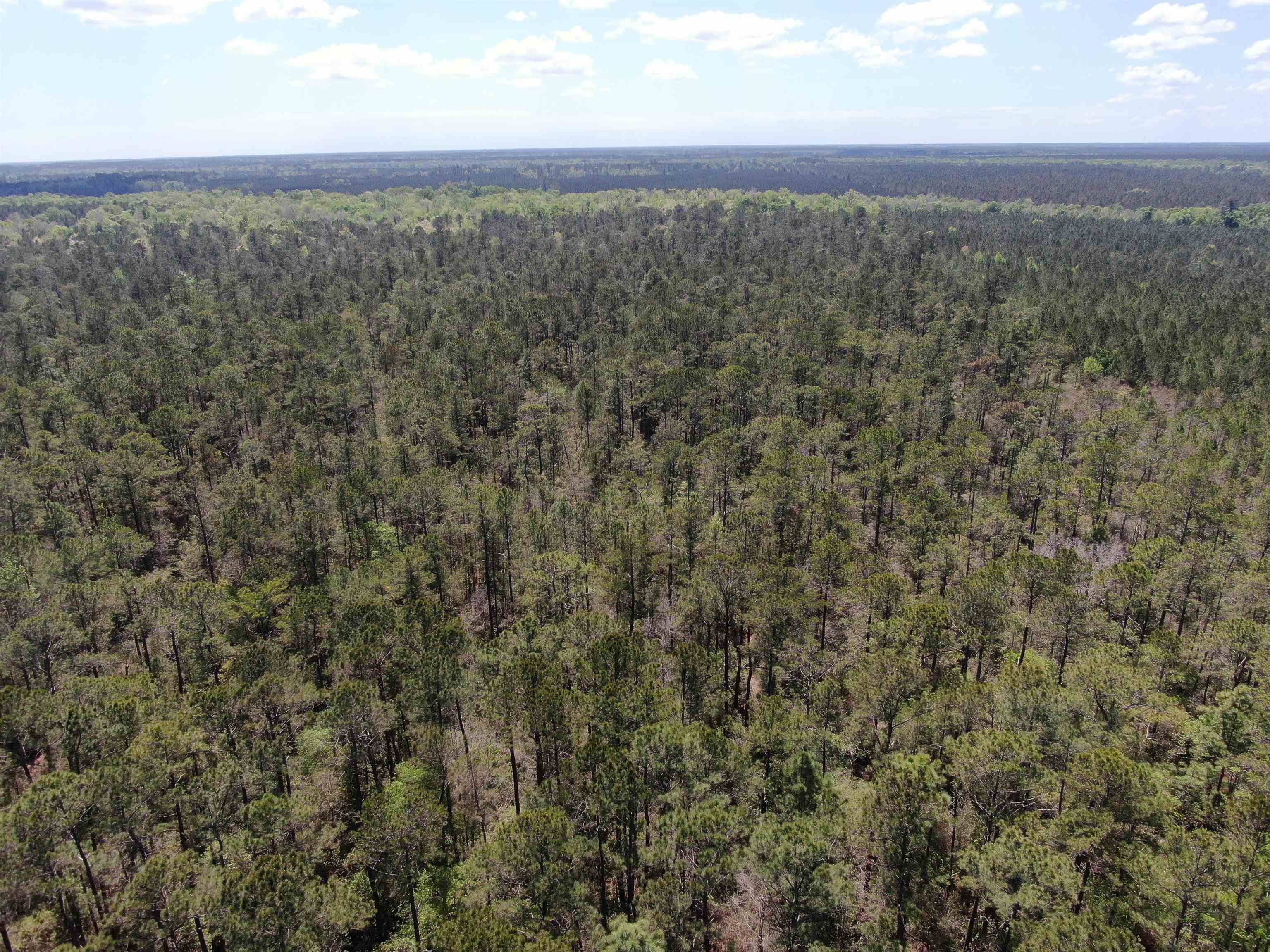 Tbd Georgetown Hwy. Property Photo 9