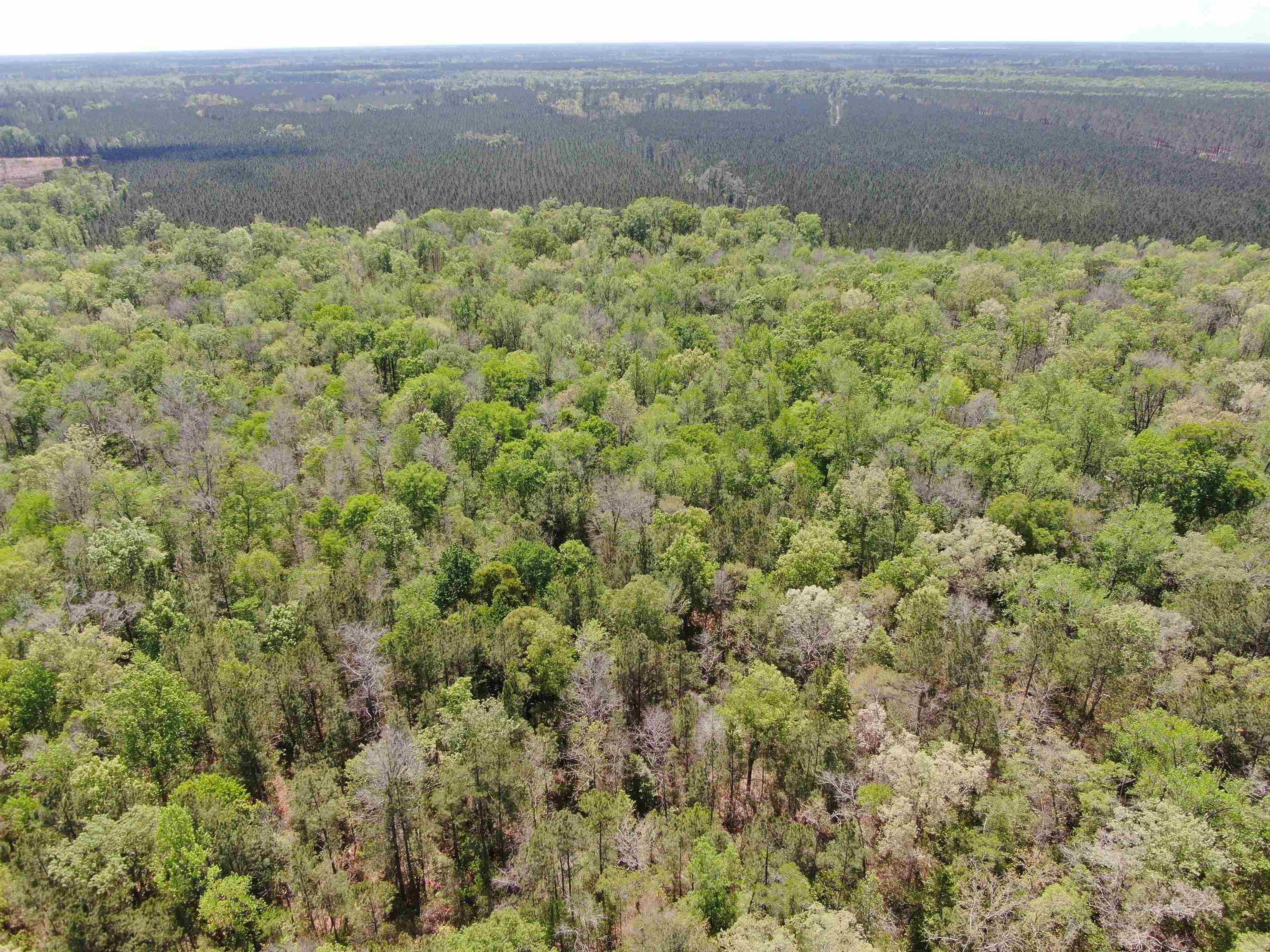 Tbd Georgetown Hwy. Property Photo 11