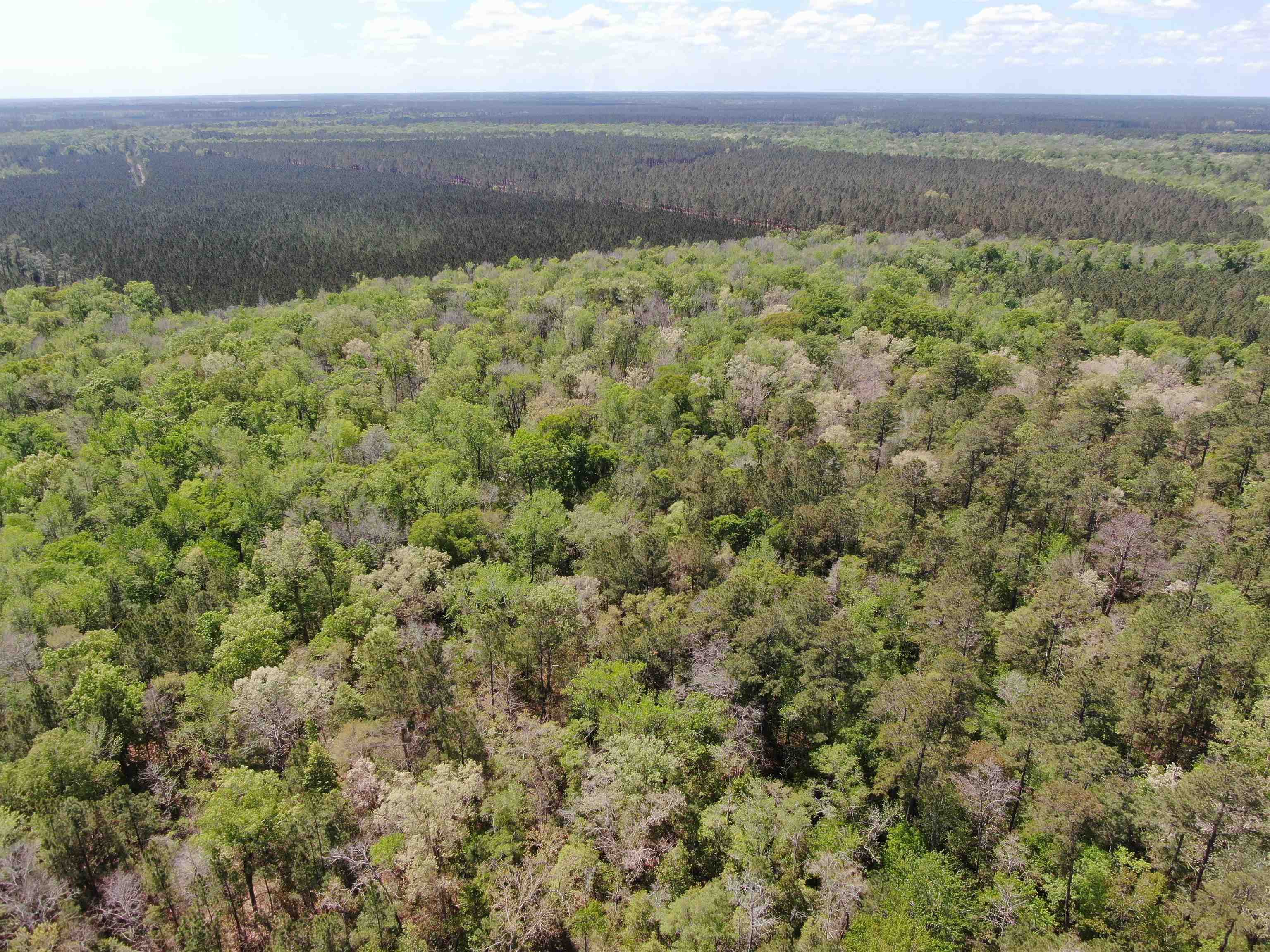 Tbd Georgetown Hwy. Property Photo 12