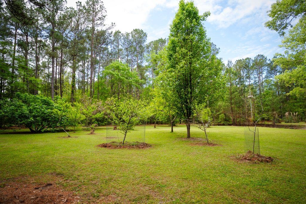 120 Honeymoon Ln Property Photo 4